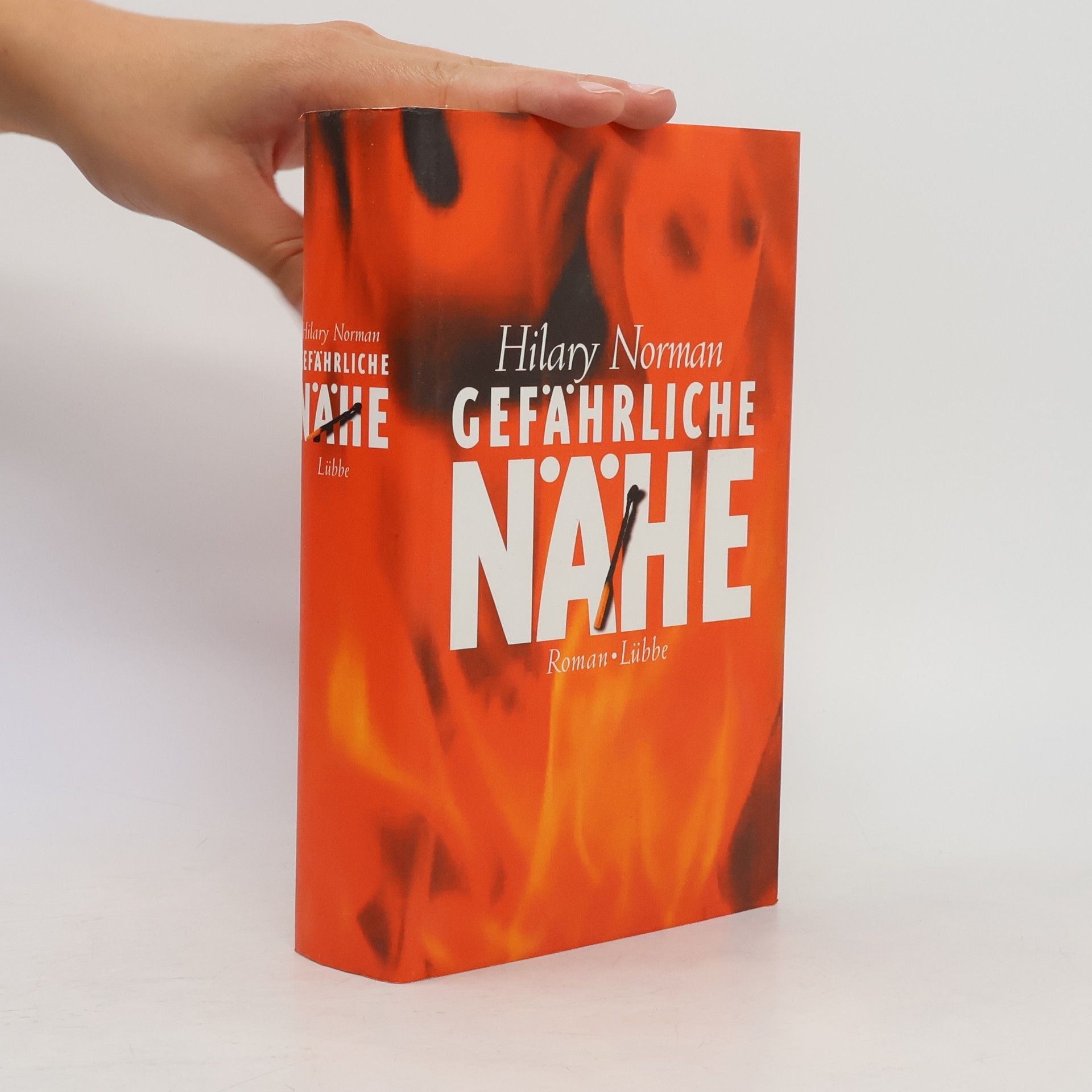 Hilary Norman Gefährliche Nähe