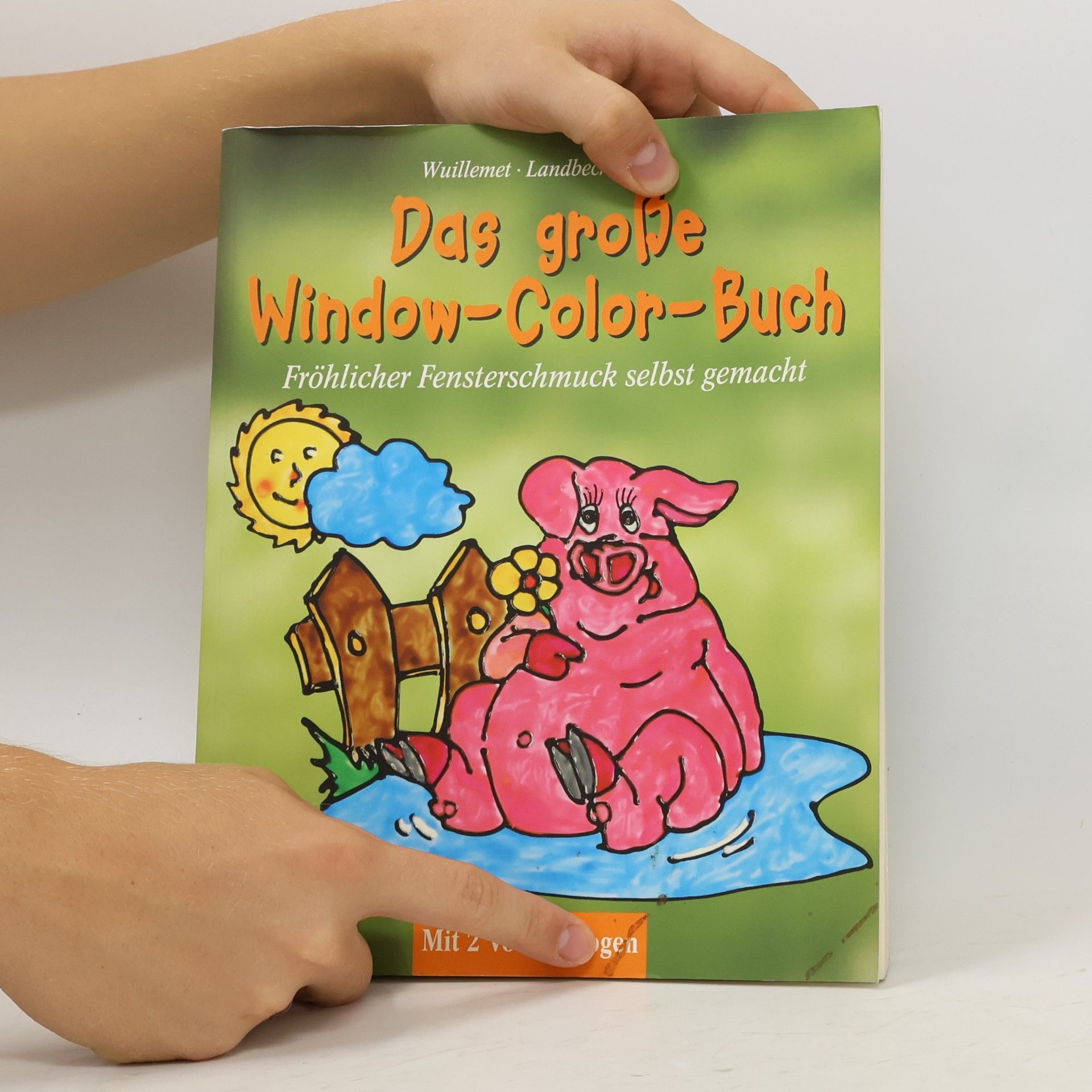 Das große Window-Color-Buch