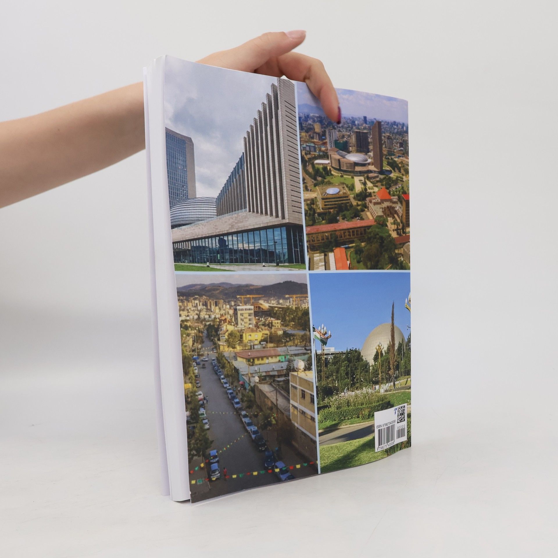 Johanna Koehler Addis Ababa Travel Guide 2026