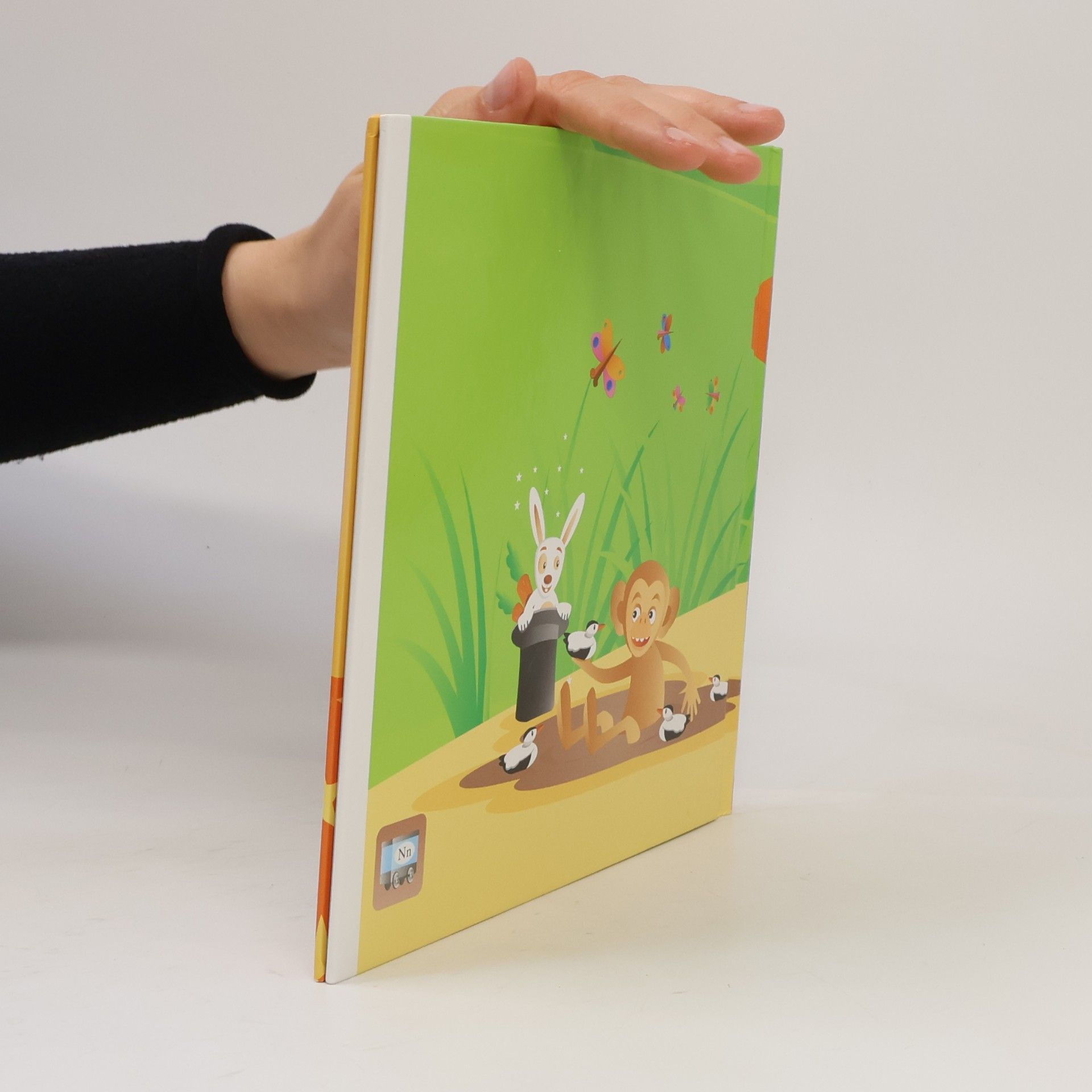 Kolektiv autorů N Buch
