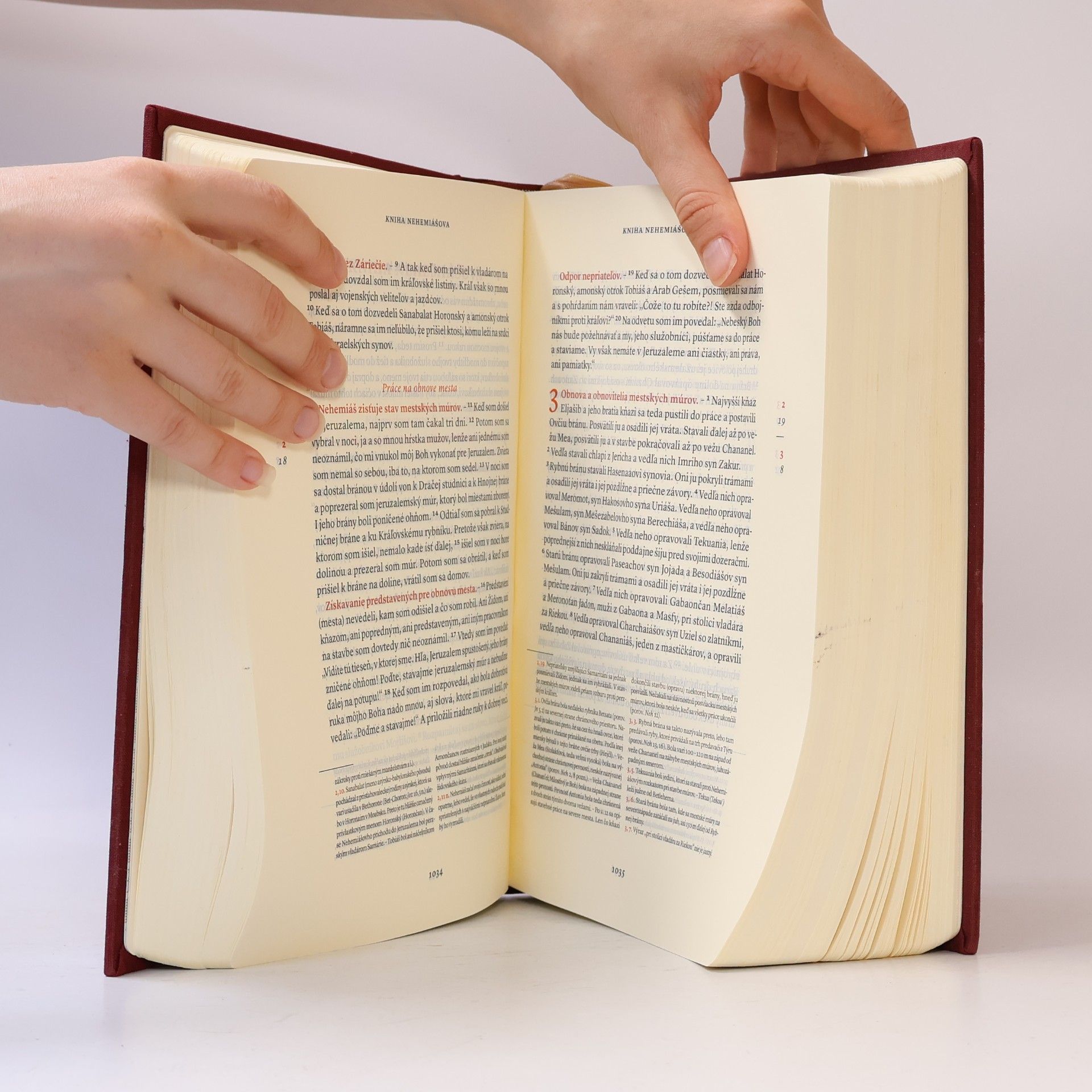 Autorenkollektiv Biblia. Starý a nový zákon
