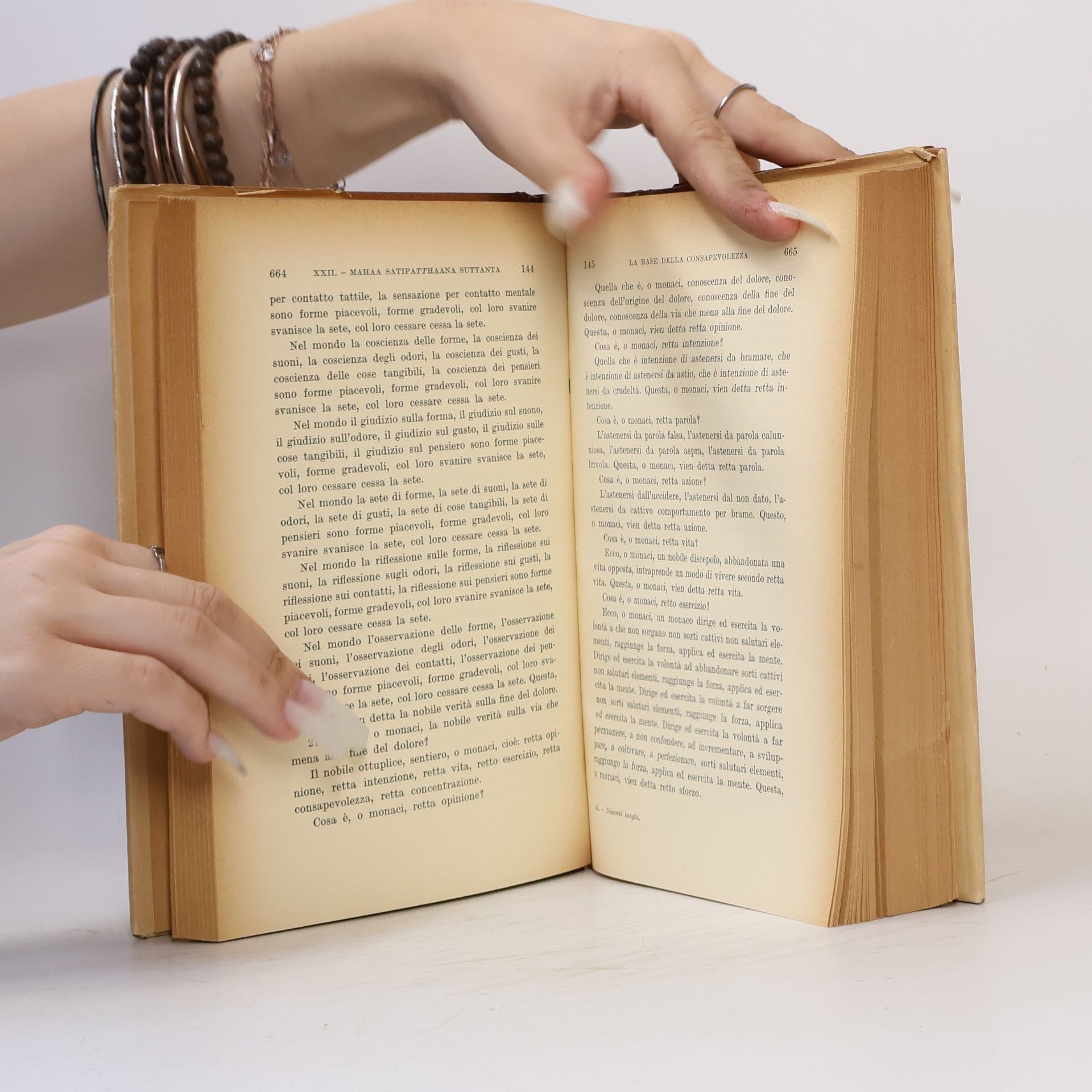 Autorenkollektiv Canone buddhista. Discorsi lunghi