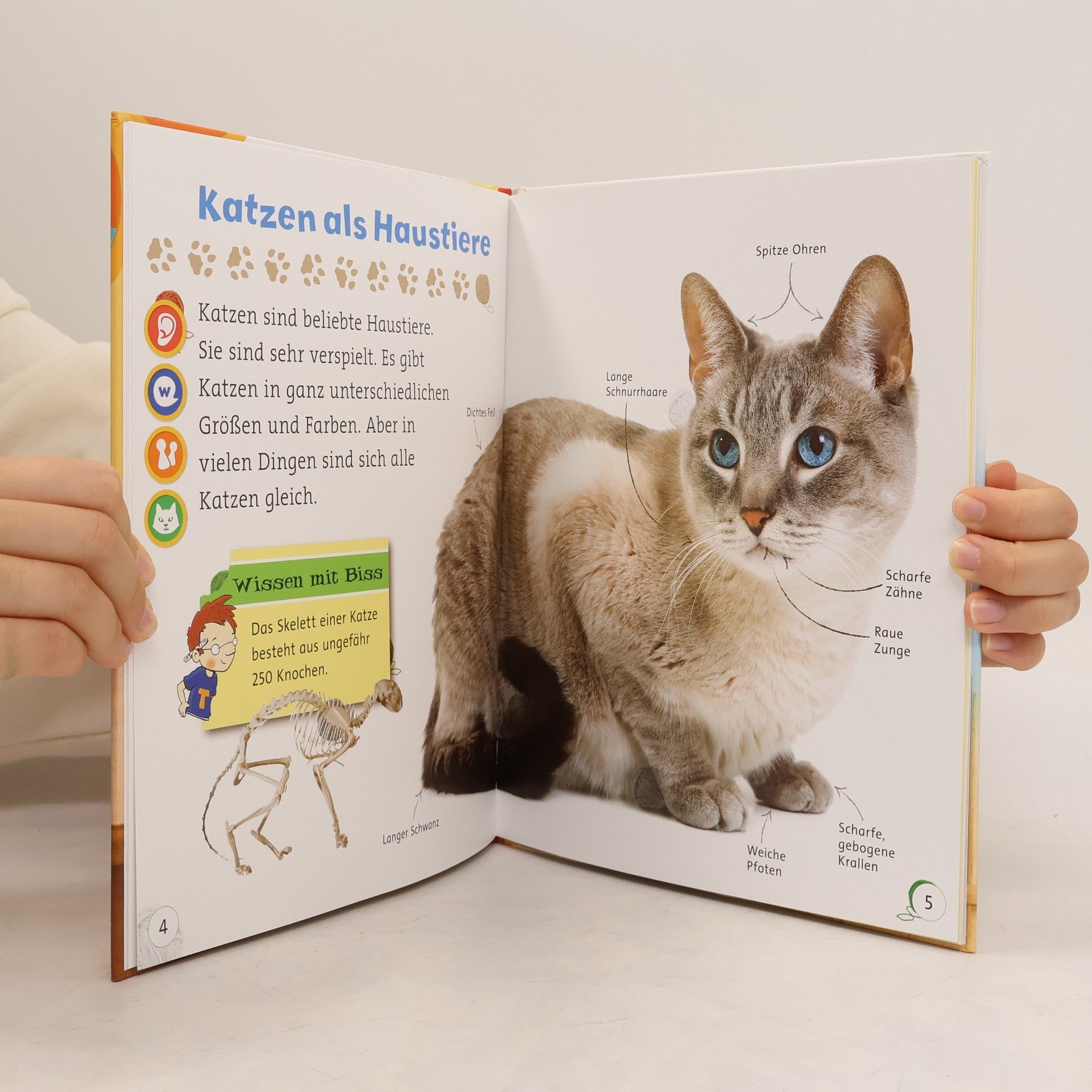 Janine Scott Unsere liebsten Katzen