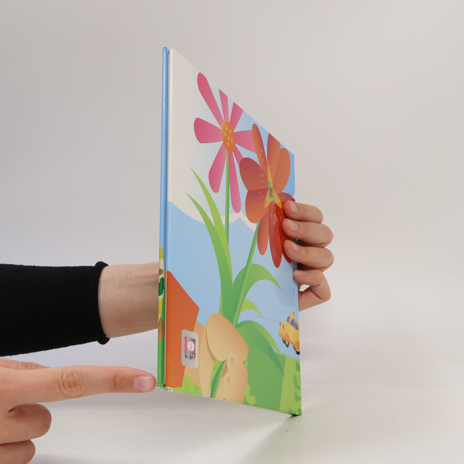 Pia Wall J - Buch