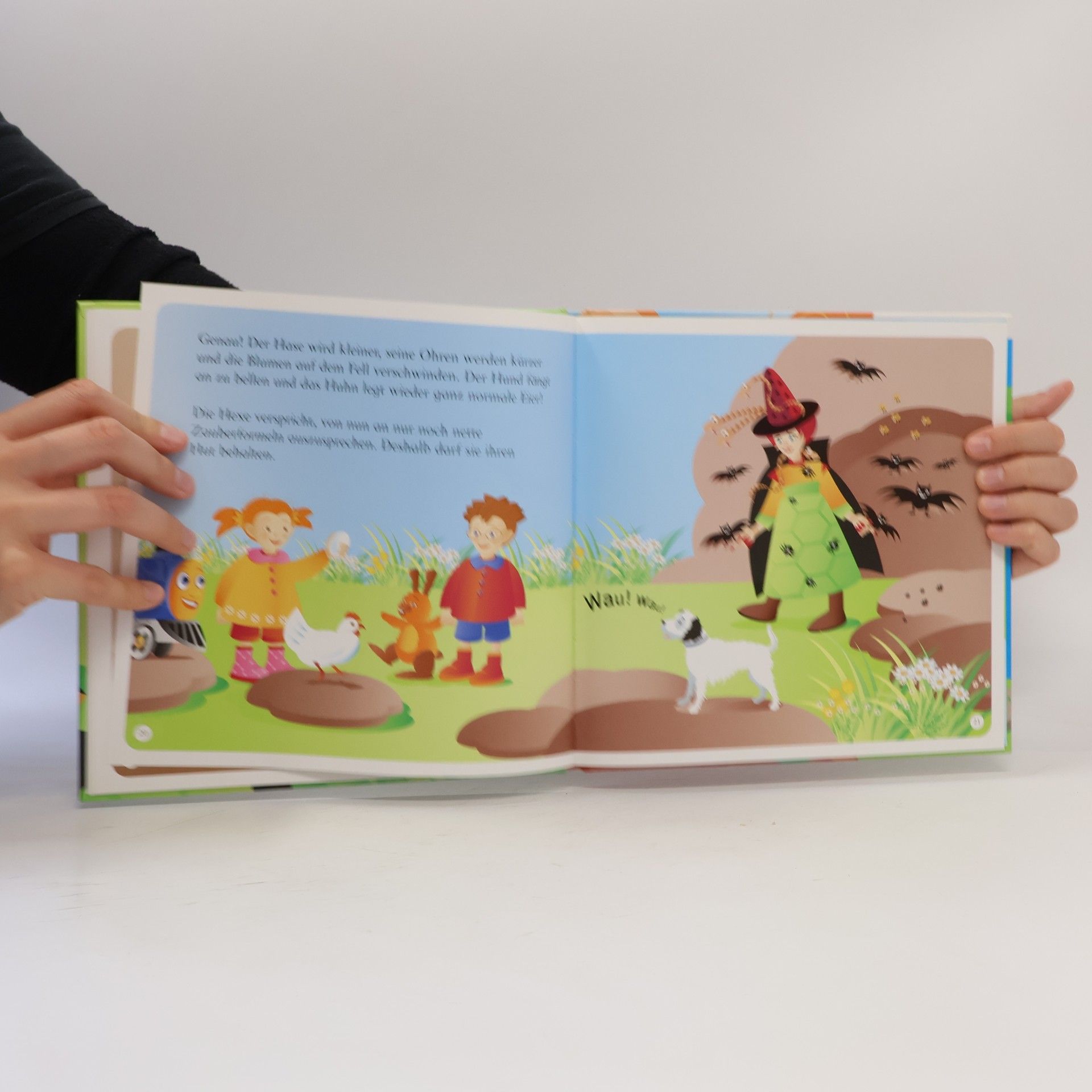 Kolektiv autorů H Buch