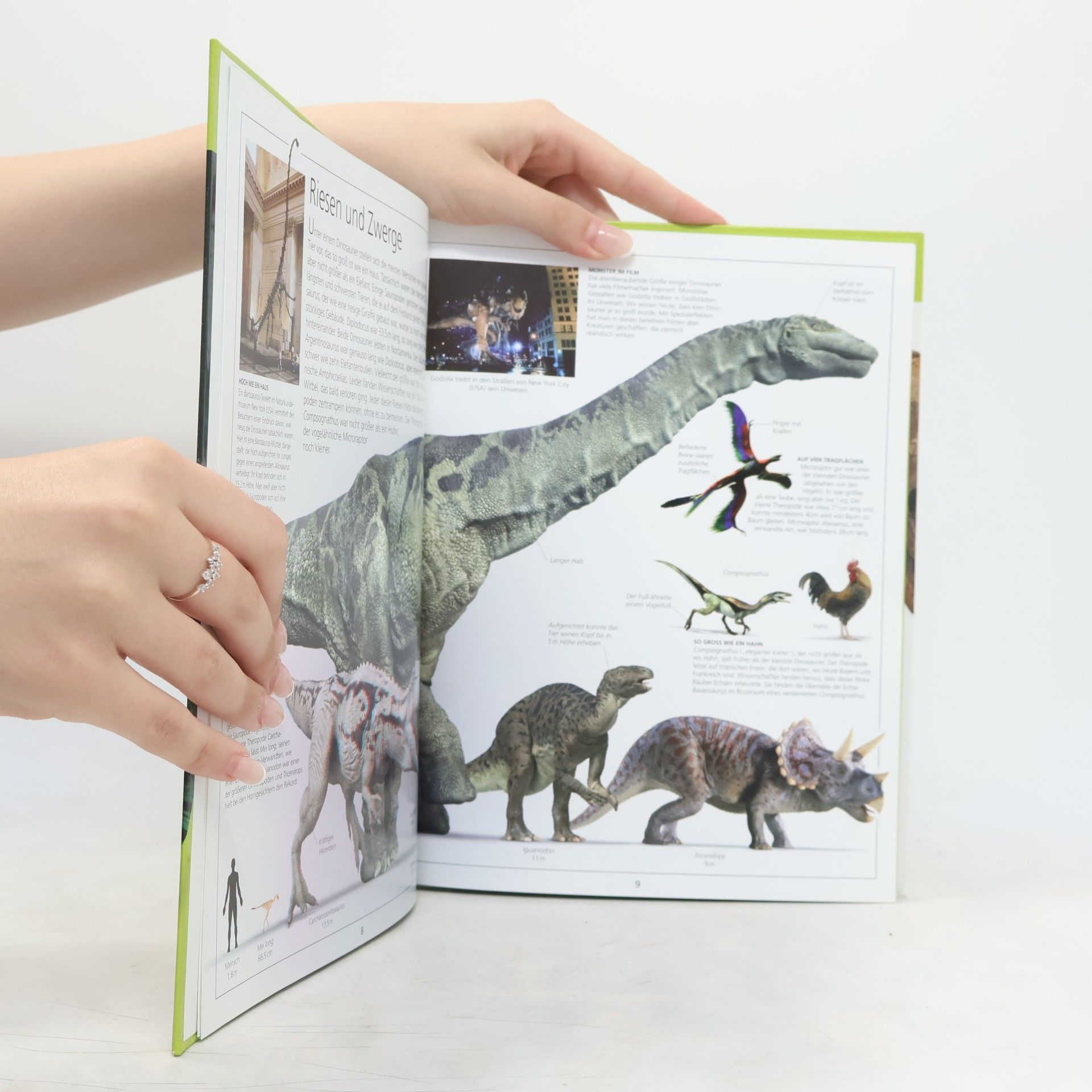Autorenkollektiv Dinosaurier