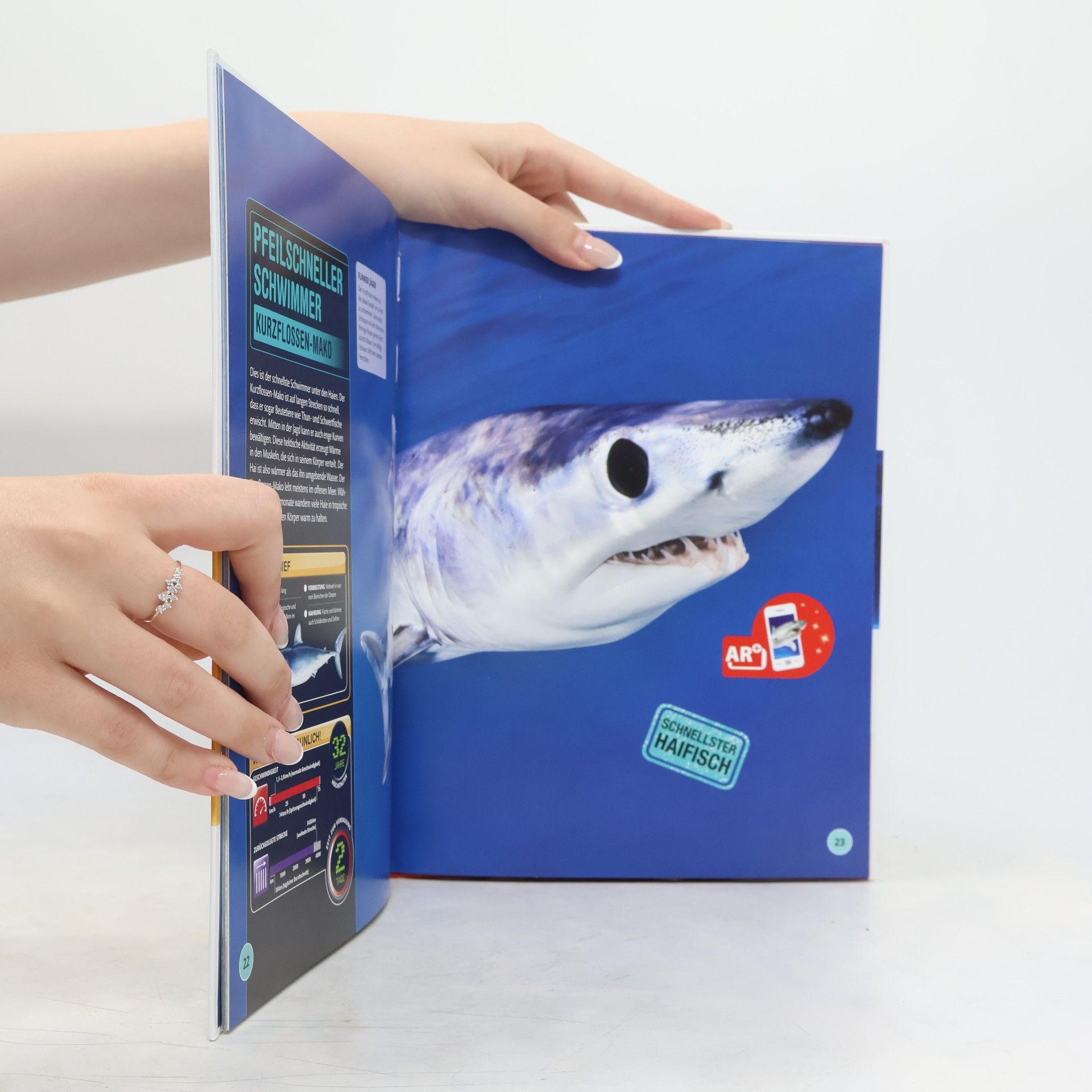 Derek Harvey Super Haie und andere Tiere der Ozeane