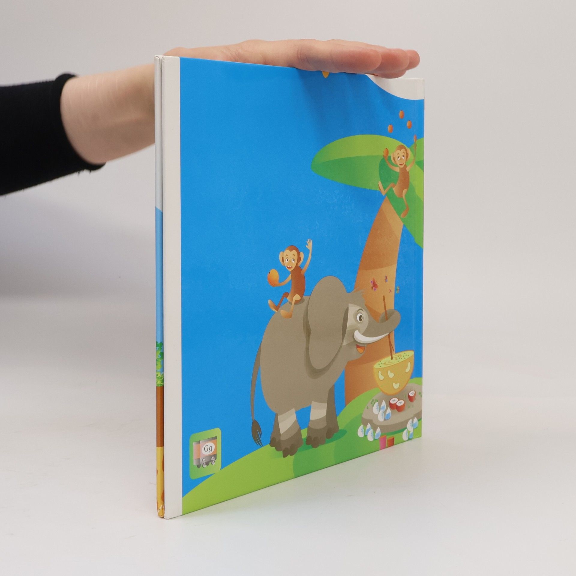Pia Wall Buch G