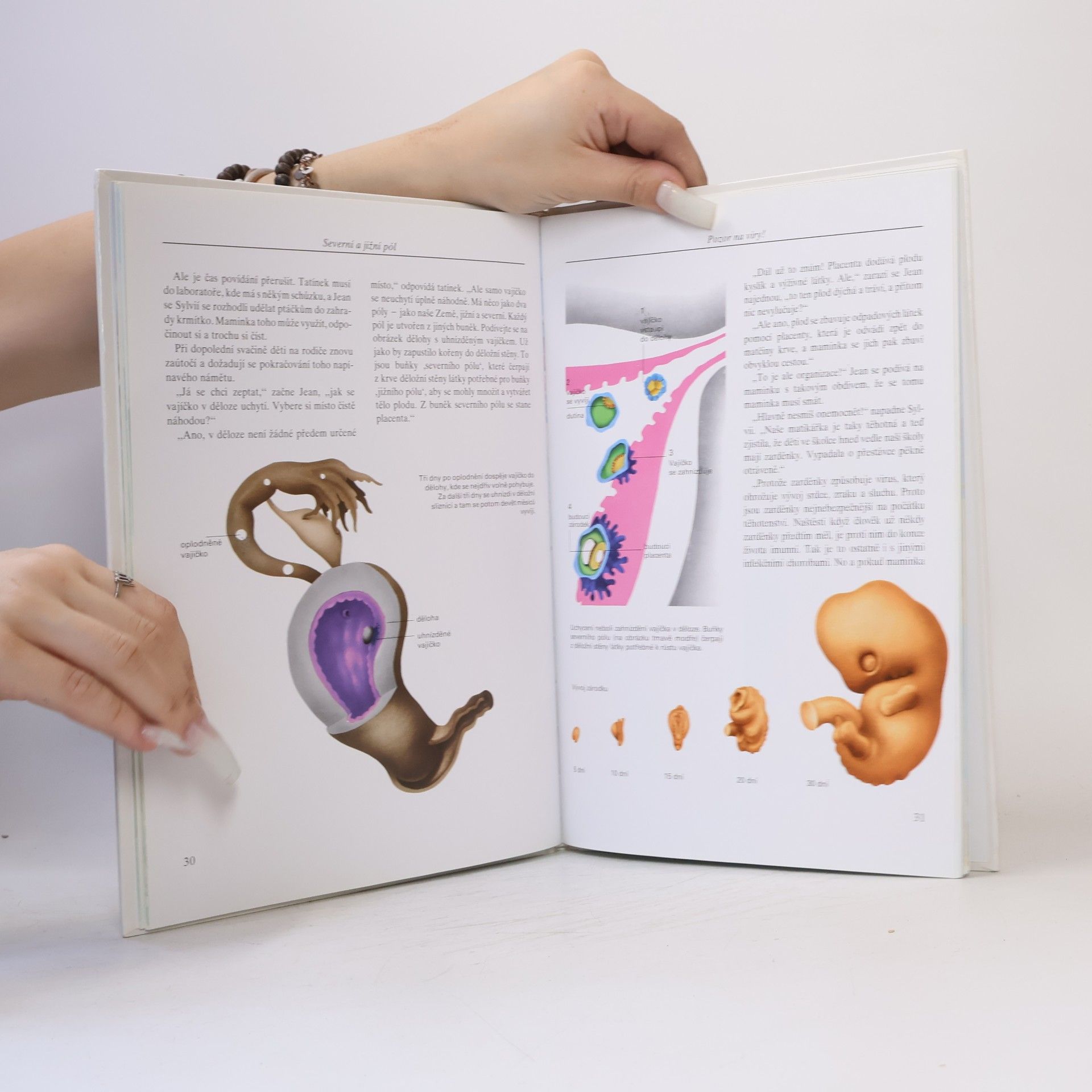 Autorenkollektiv Encyklopedie pohlavního života. 10-13 let