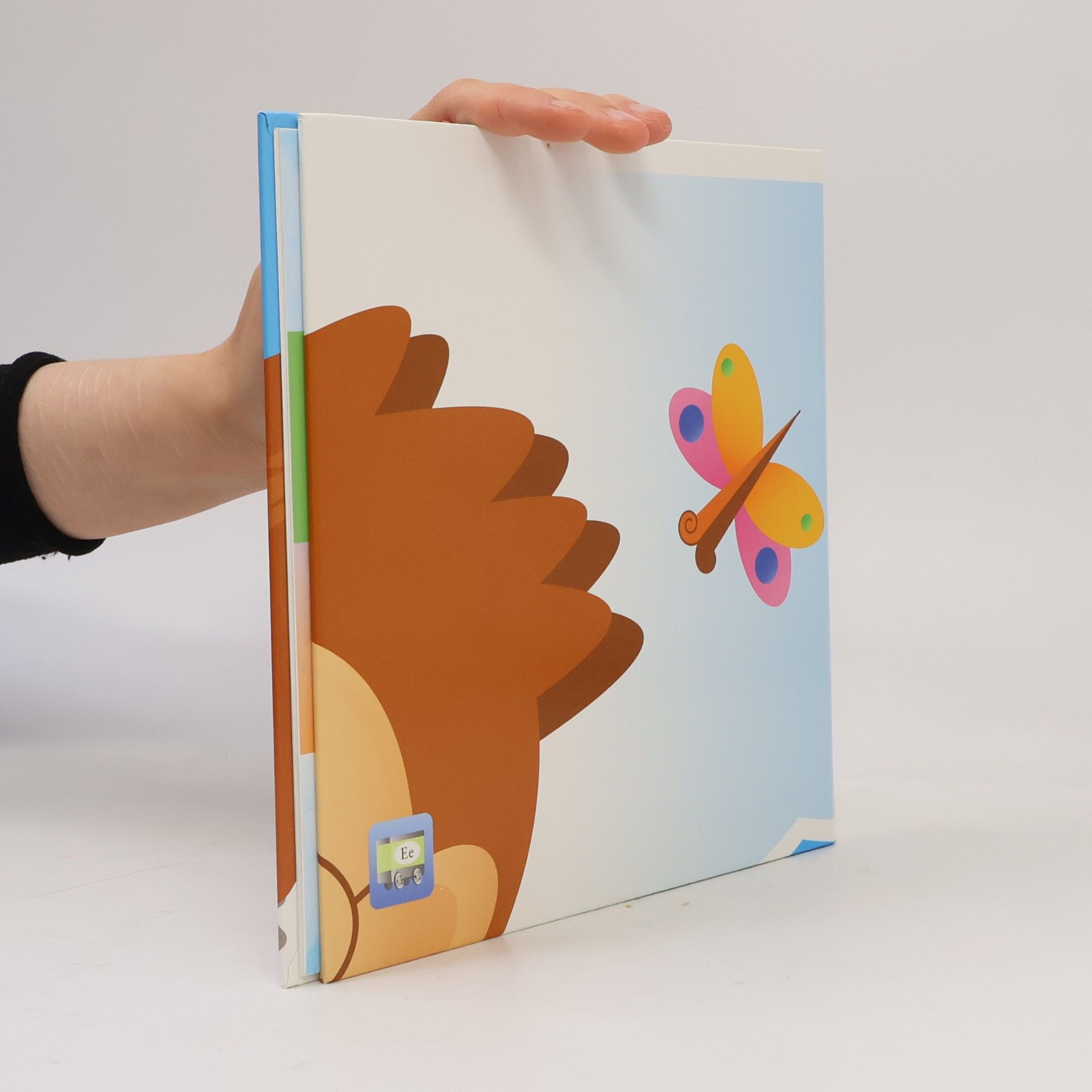 Pia Wall E-Buch