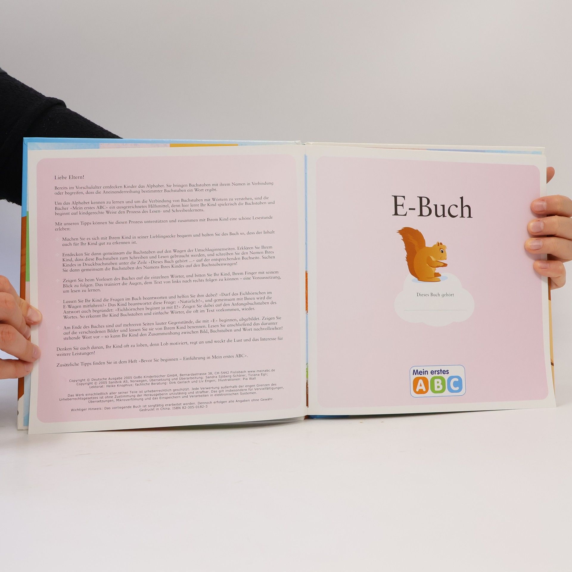 Pia Wall E-Buch