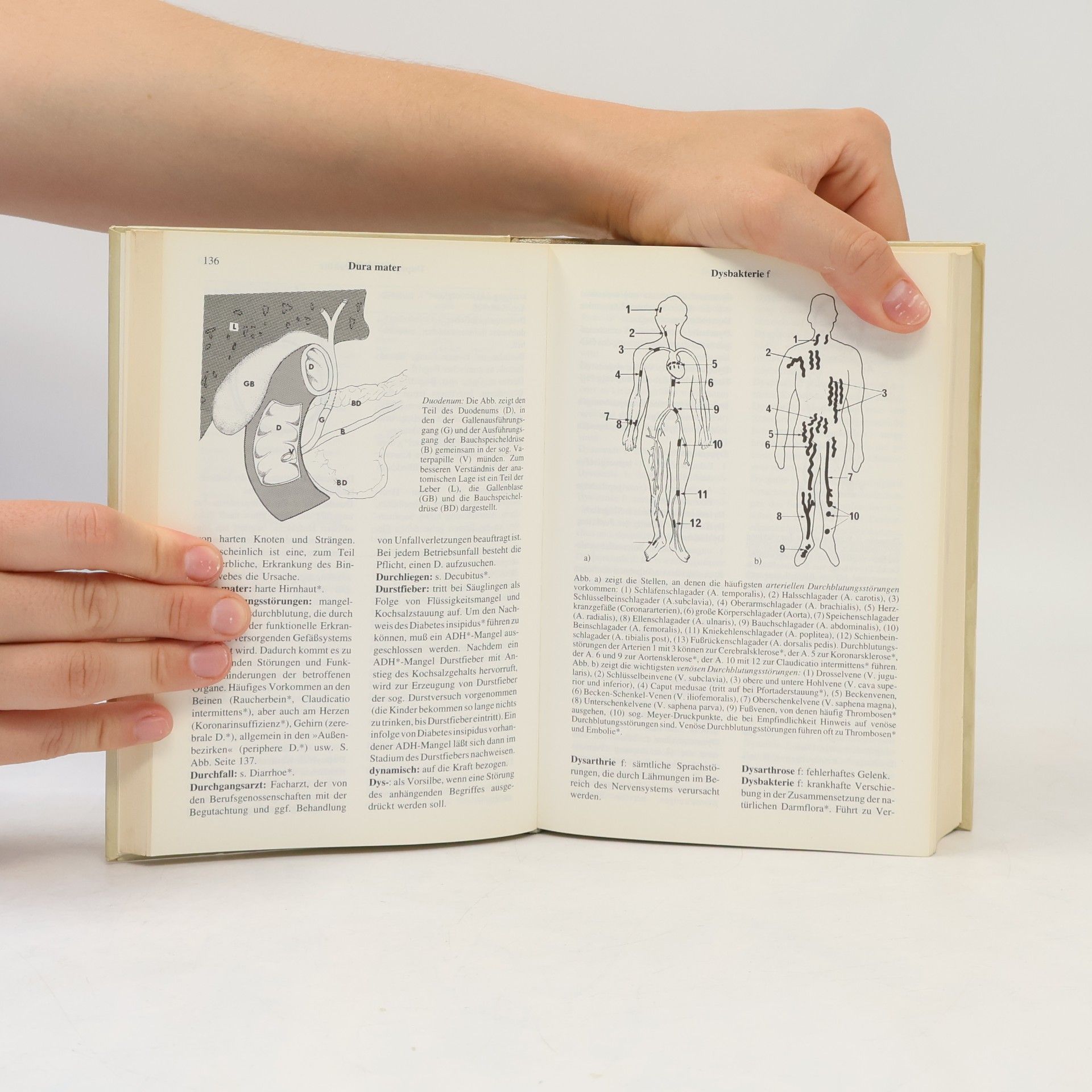 Josef Hammerschmid Gollwitzer Wörterbuch der medizinischen Fachaudrücke