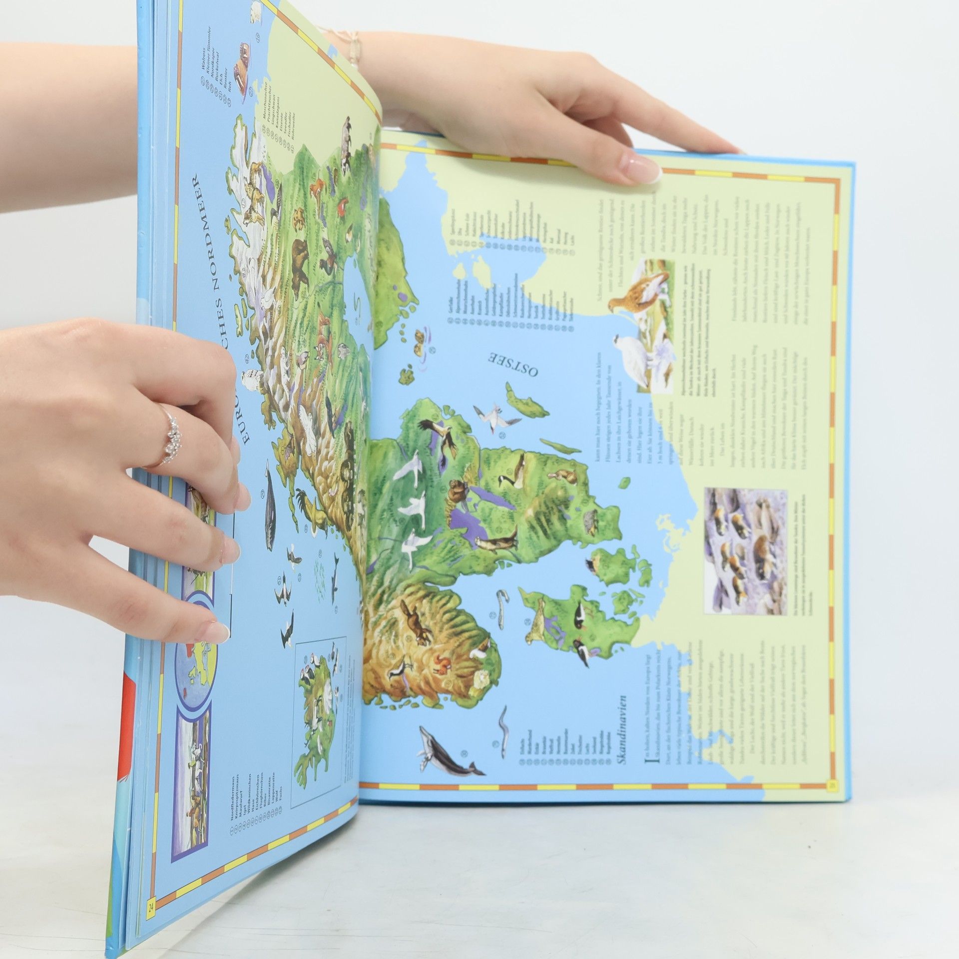 Various authors Kinderatlas die Tiere