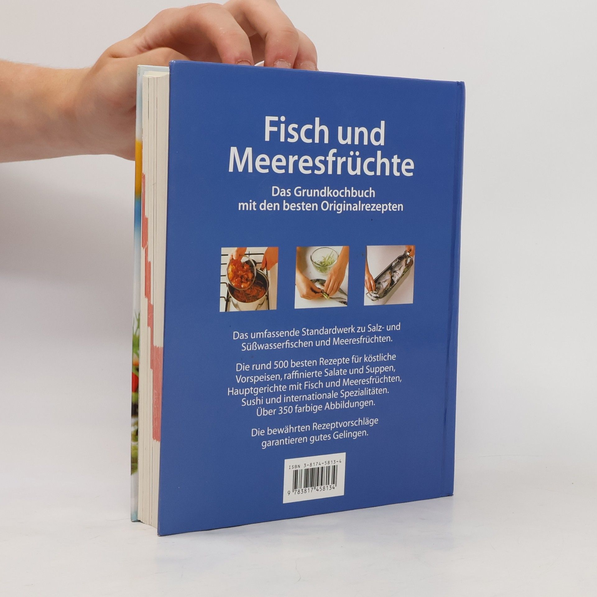 Autorenkollektiv Fisch und Meeresfrüchte