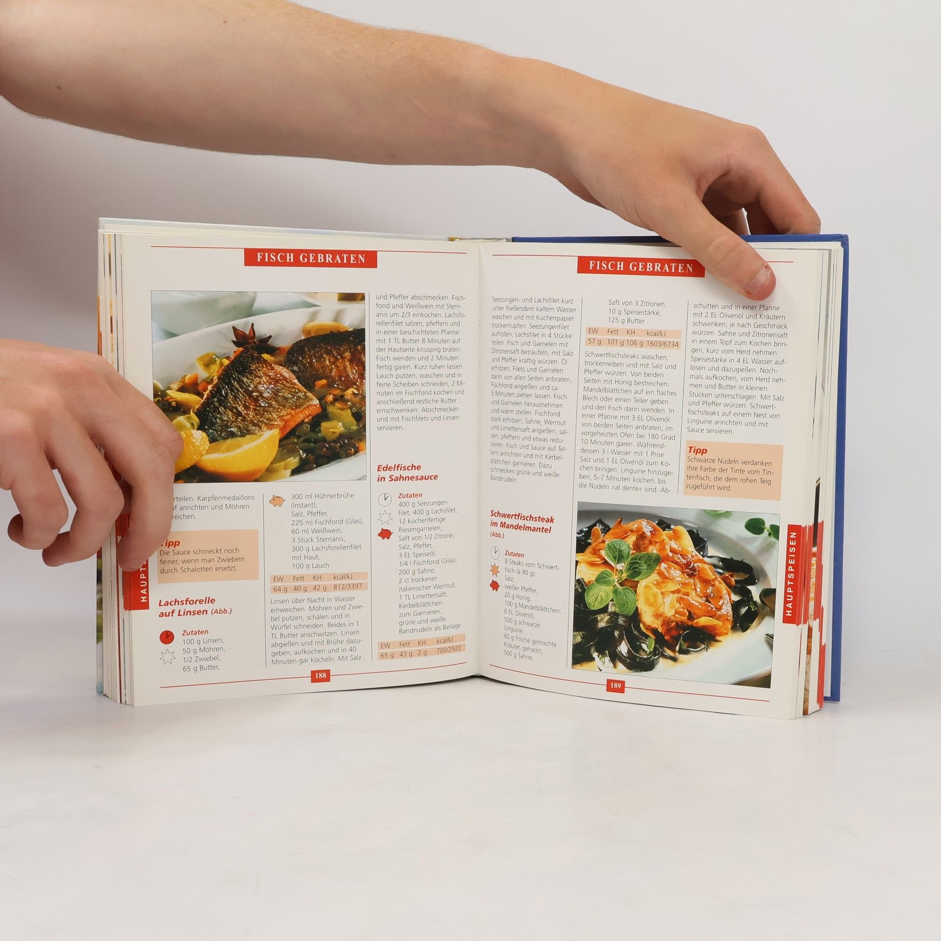 Autorenkollektiv Fisch und Meeresfrüchte