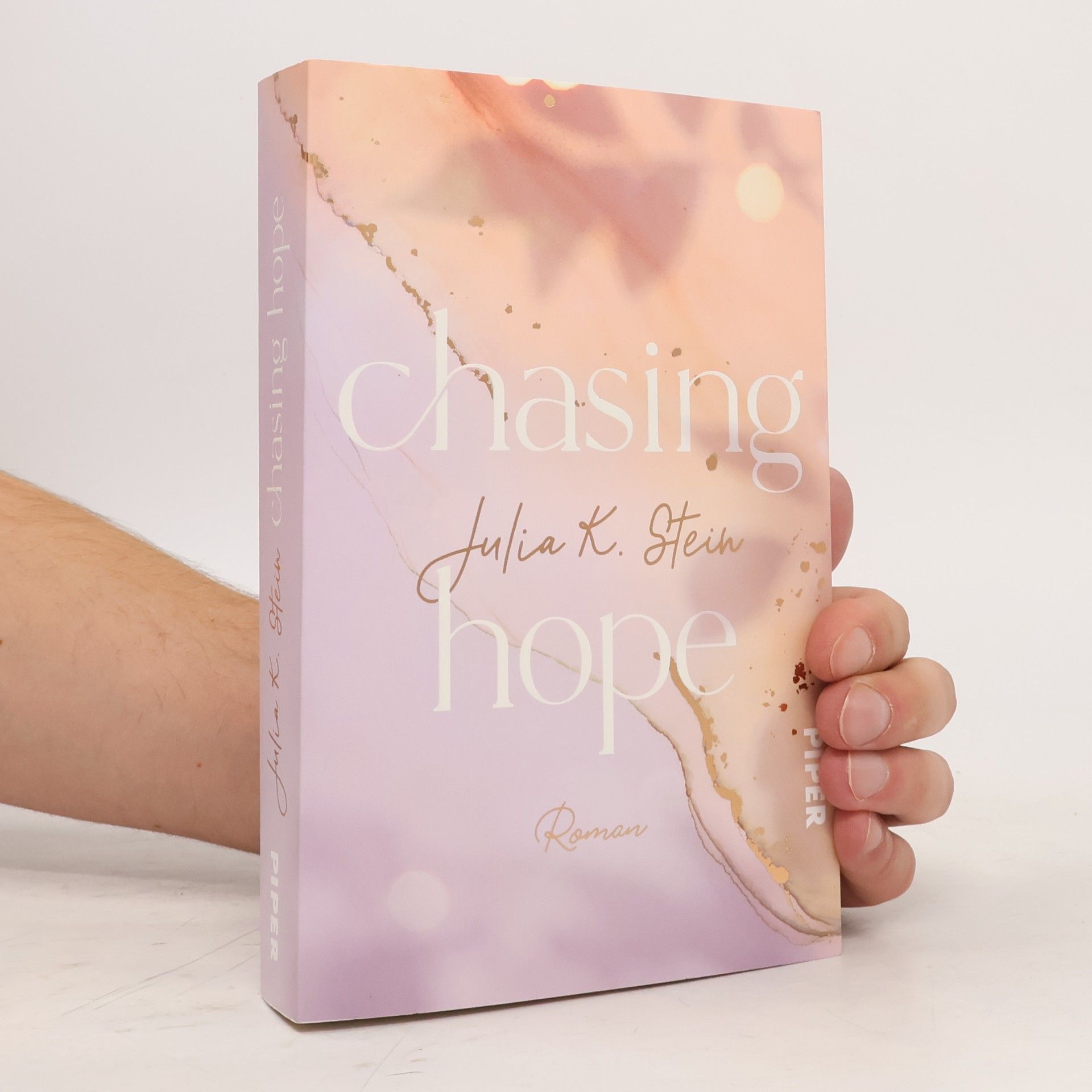 Julia K. Stein Chasing Hope