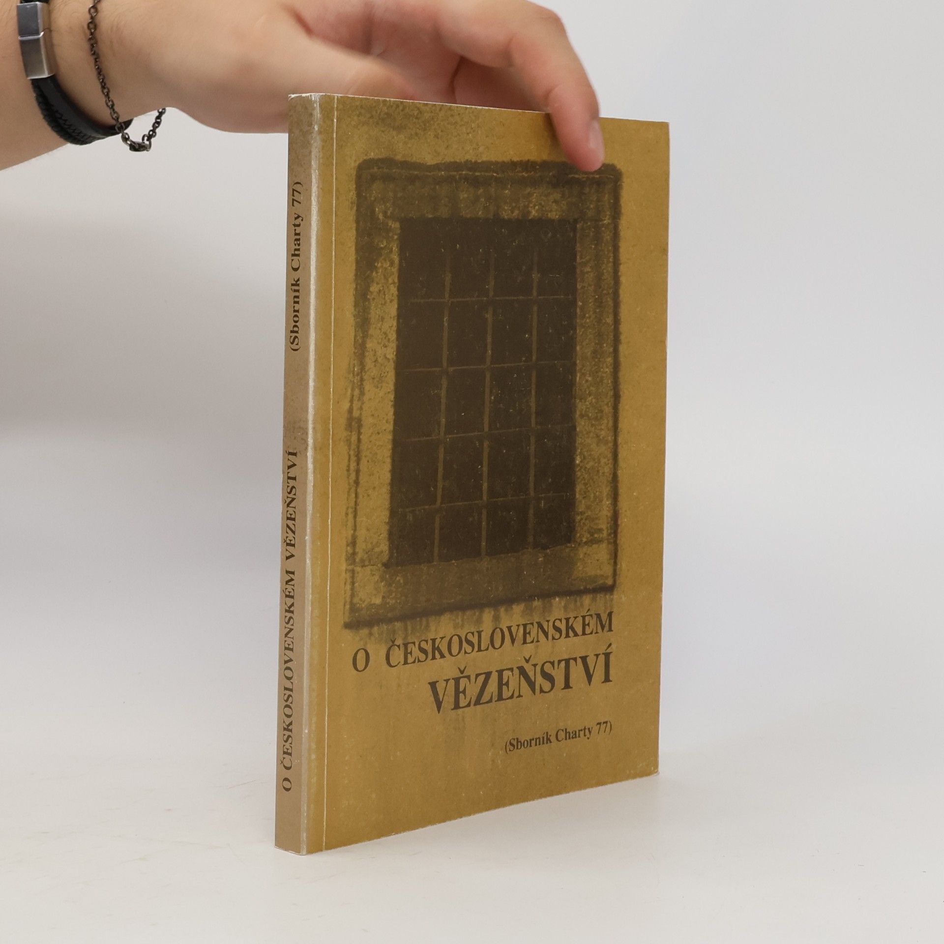 Jiří Fleyberk Československé probuzení