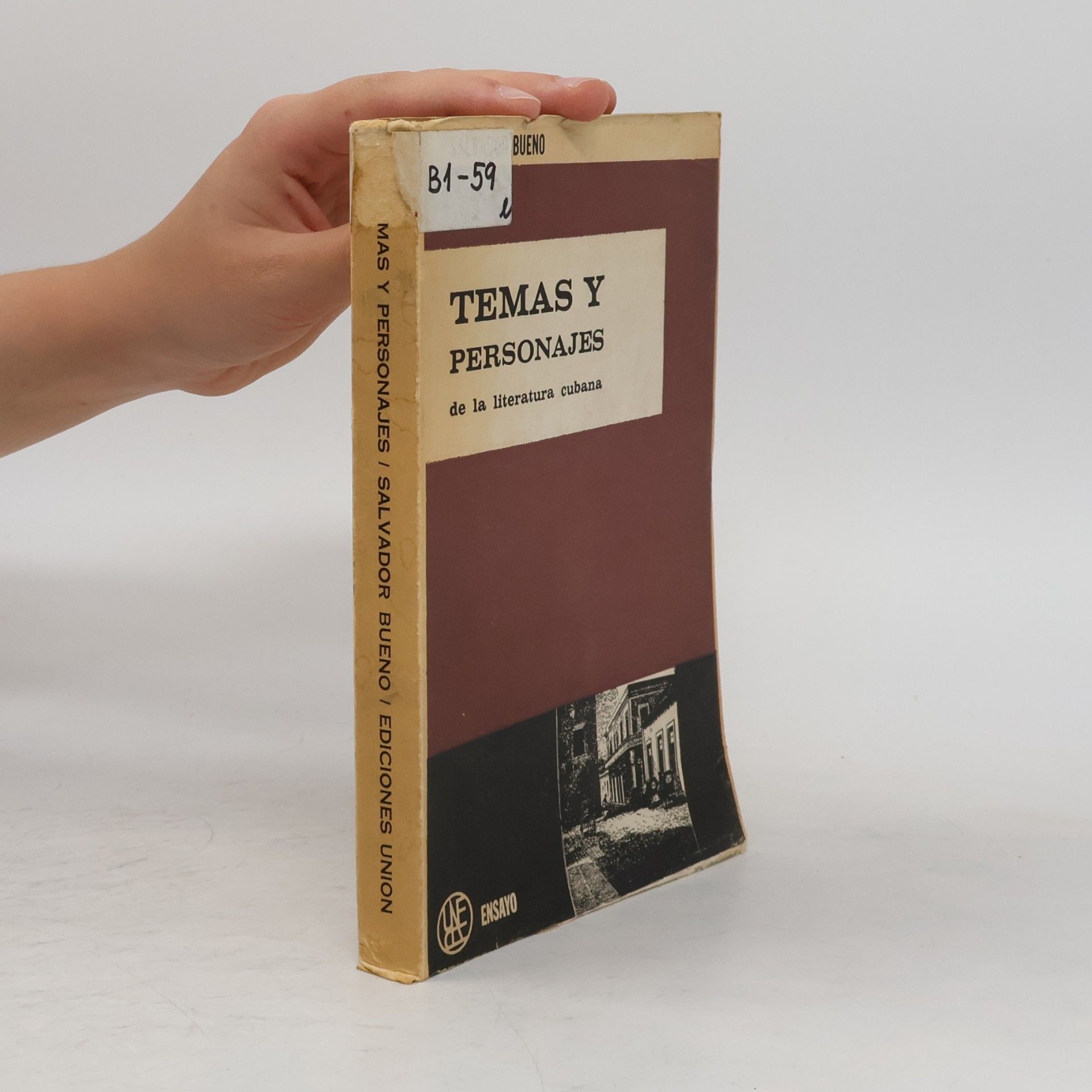 Temas y personajes : de la literatura cubana