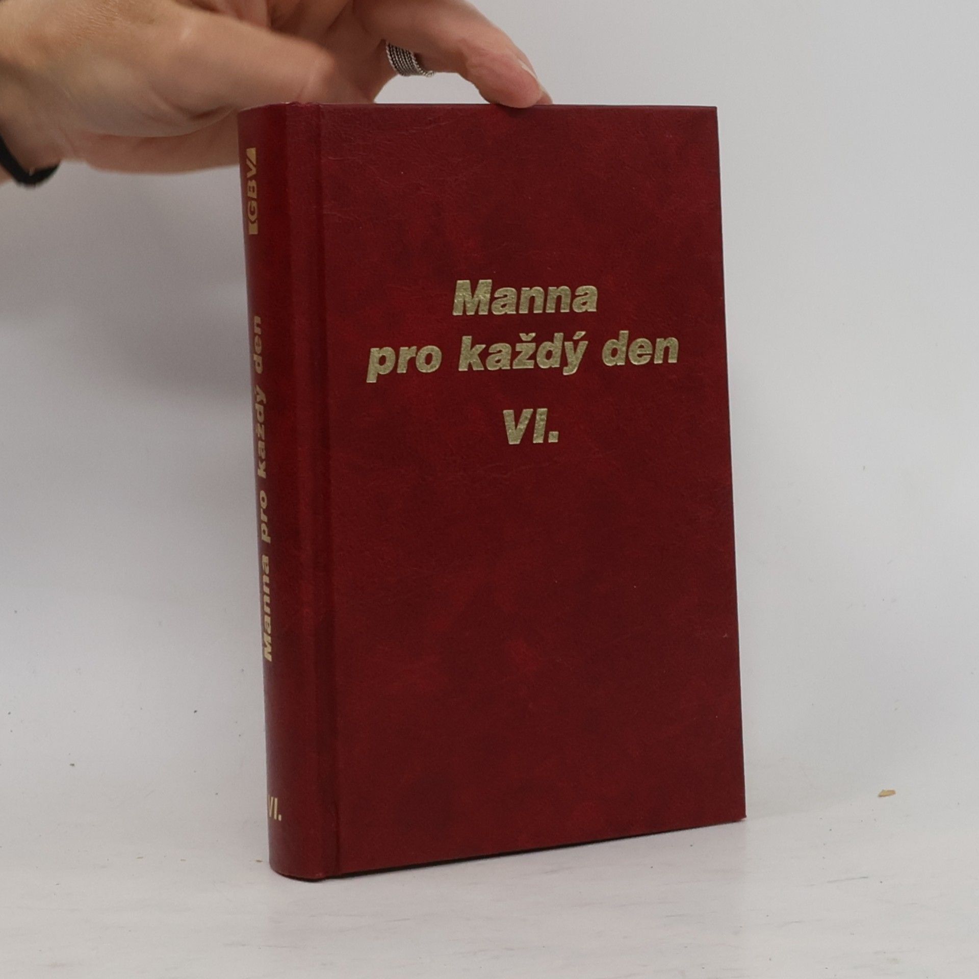 Collectif d'auteurs Manna pro každý den VI.