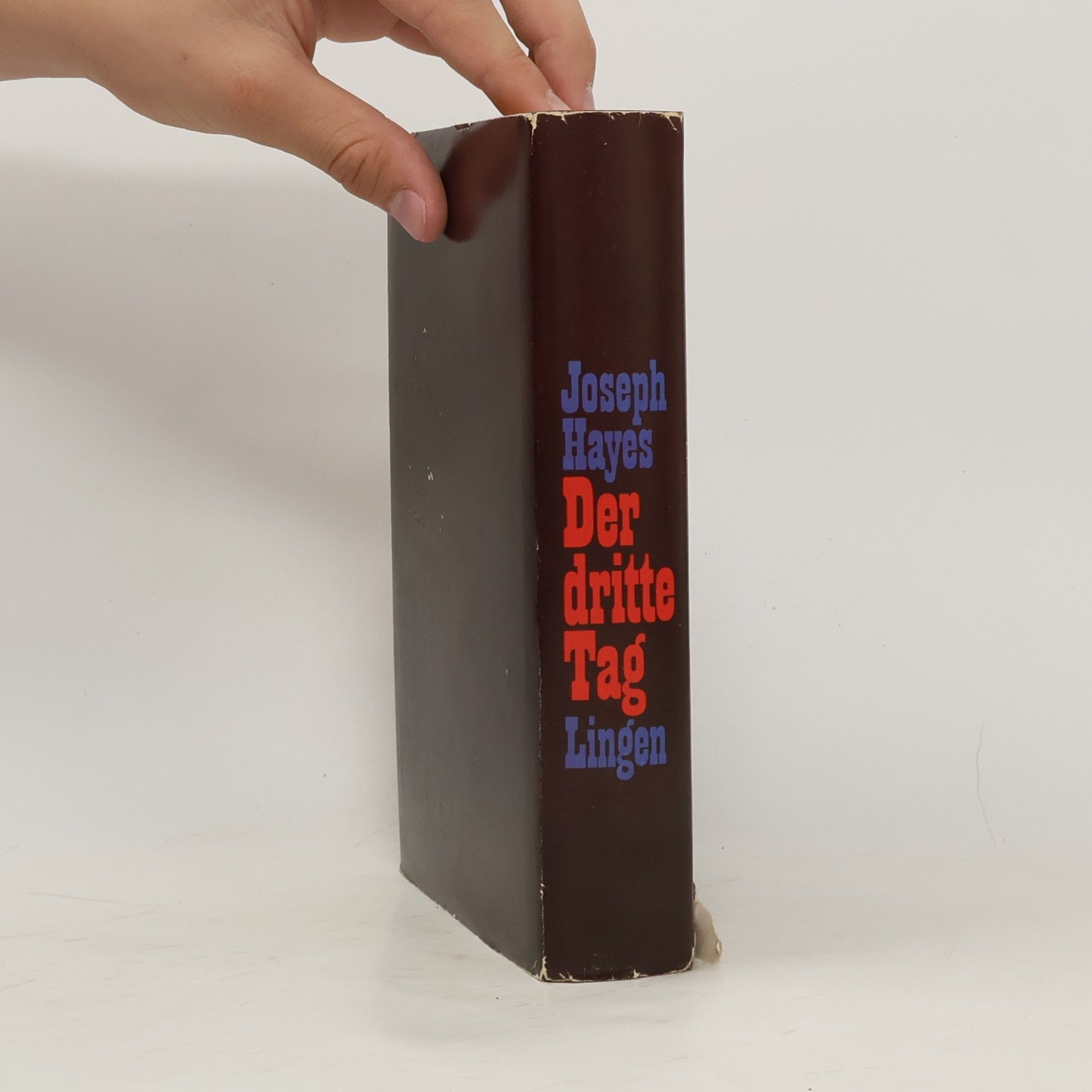 Joseph Hayes Der dritte Tag