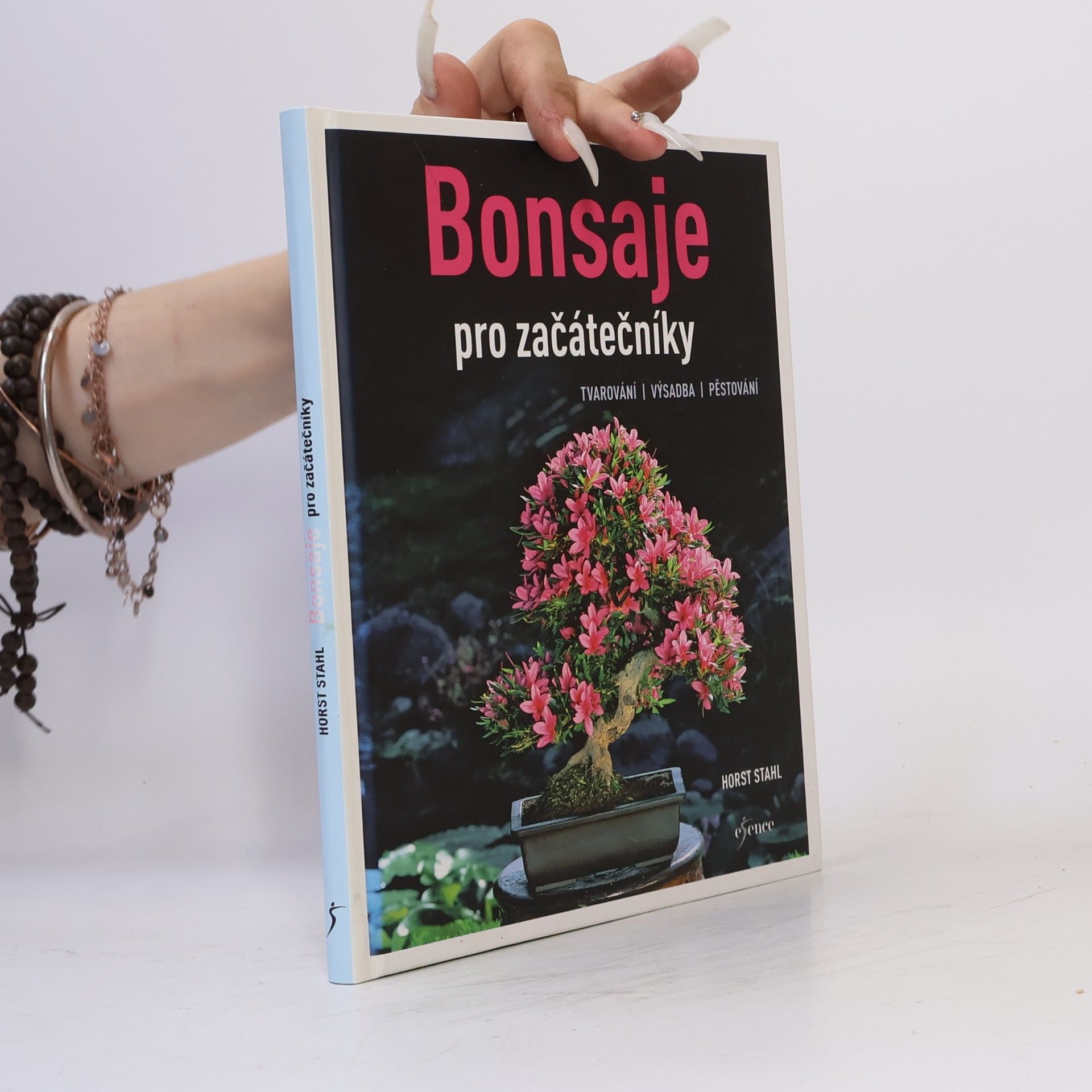 Bonsaje pro začátečníky