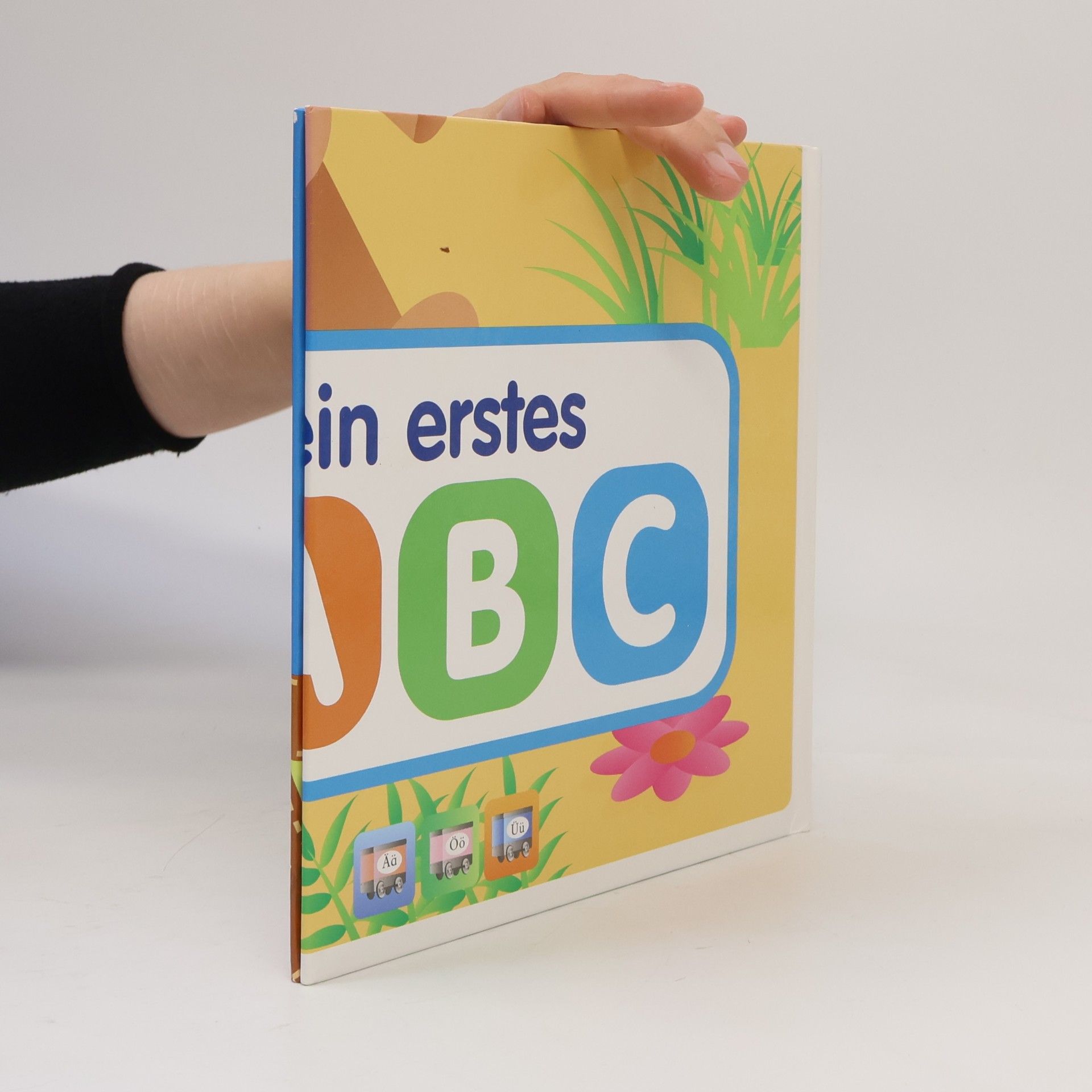Autorenkollektiv Ä-, Ö- und Ü-Buch
