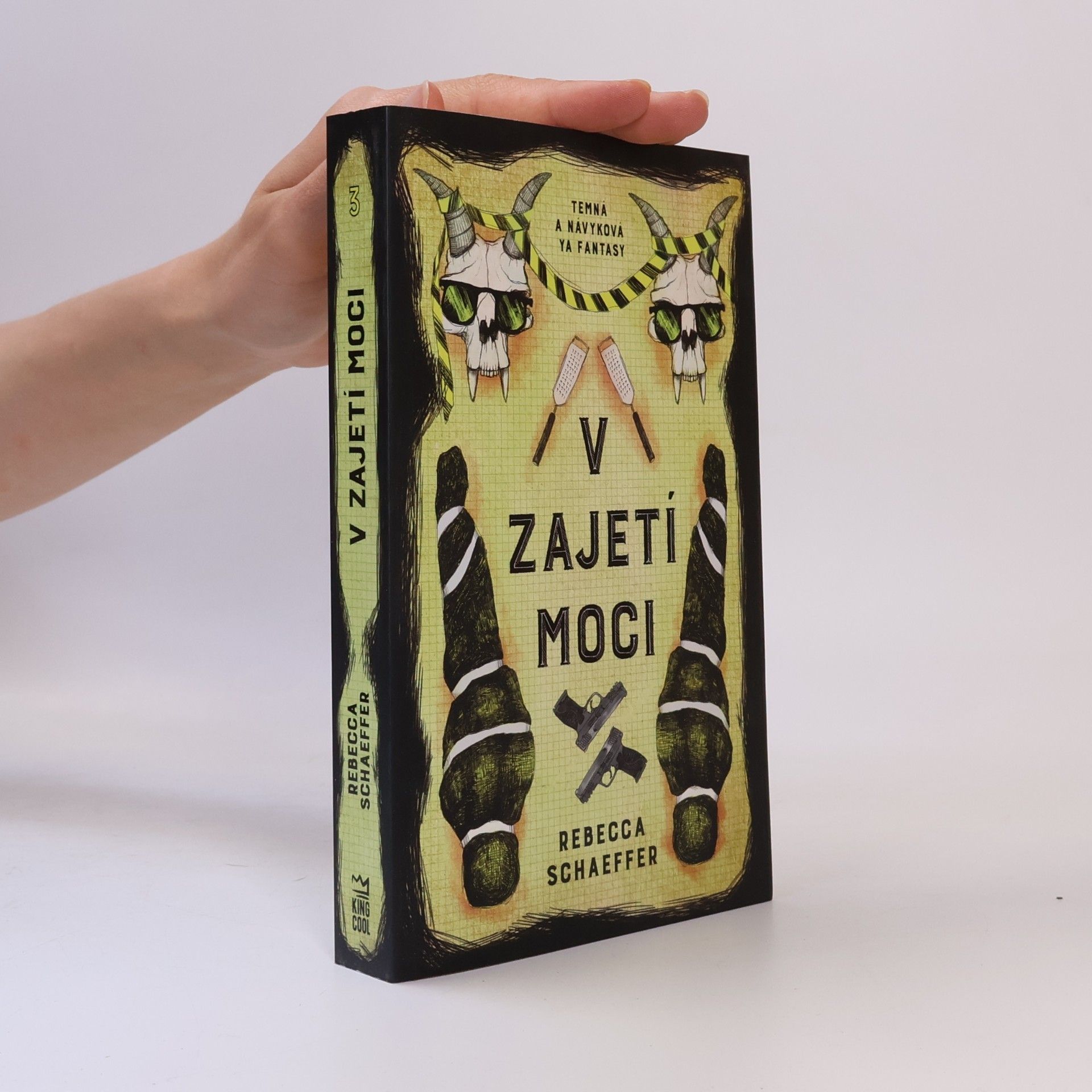 V zajetí moci