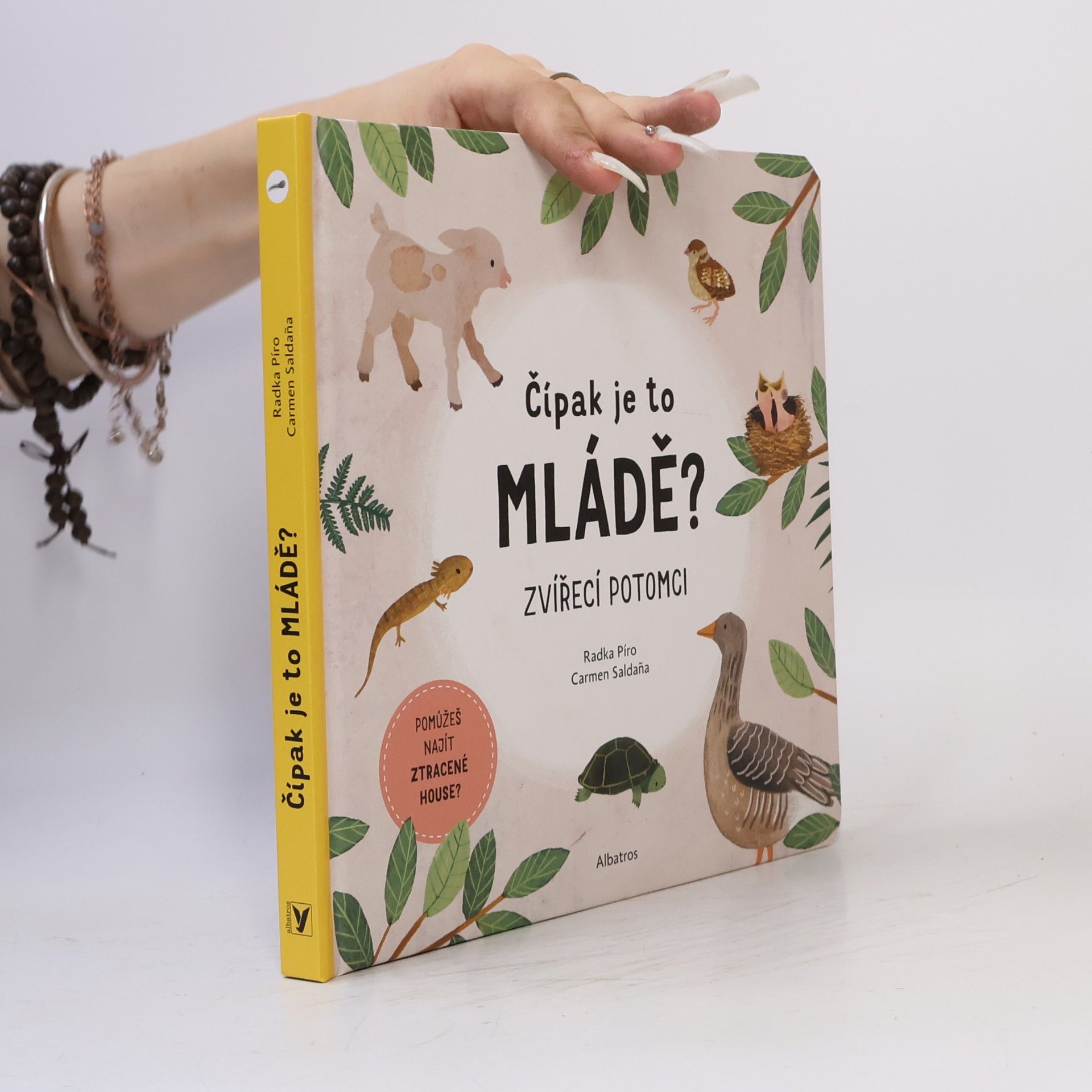 Čípak je to mládě?
