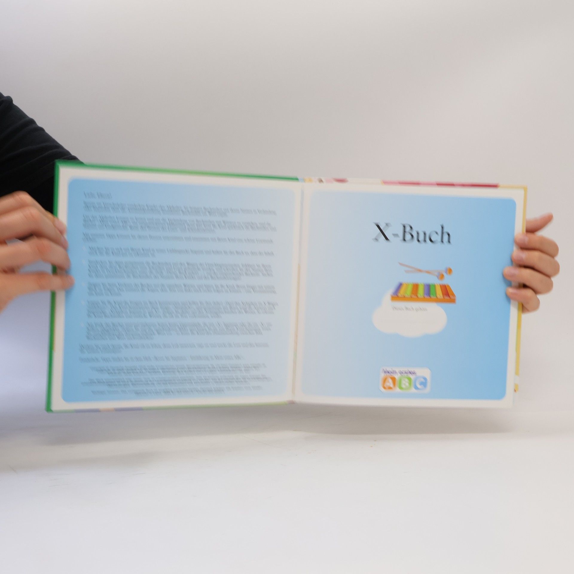 Autorenkollektiv X Buch