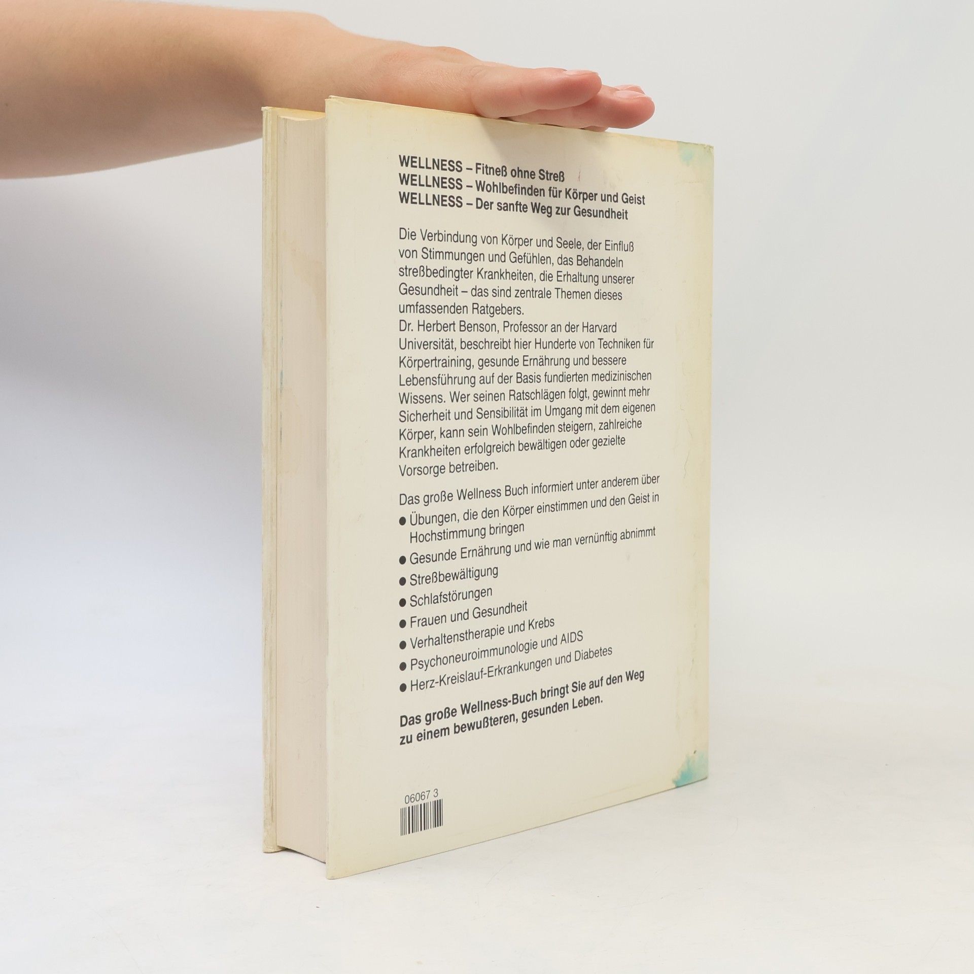 Herbert Benson Das große Wellness Buch