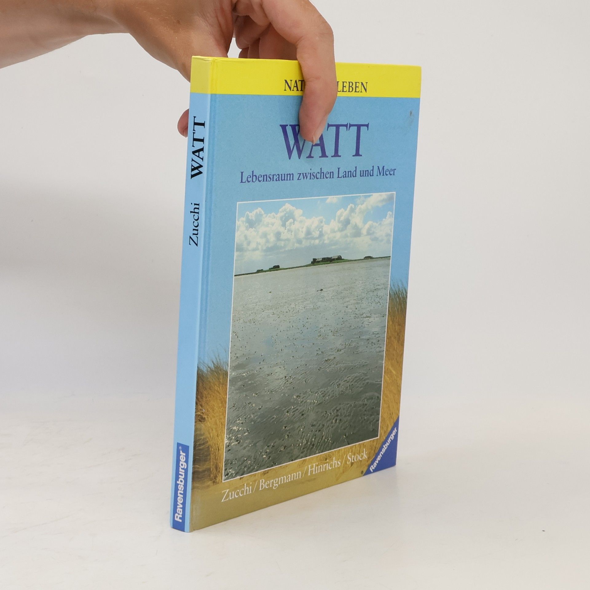Watt