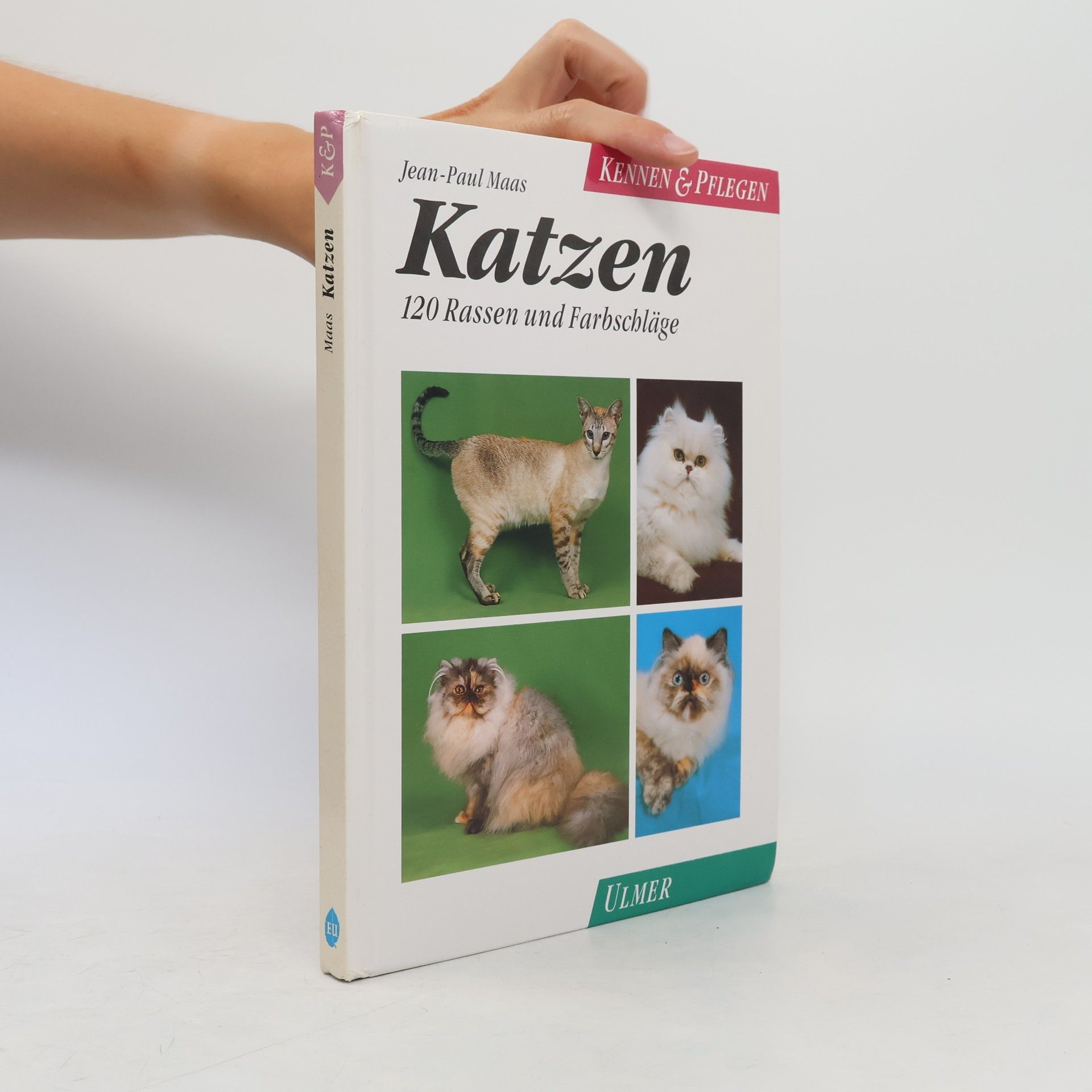 Jean-Paul Maas Katzen