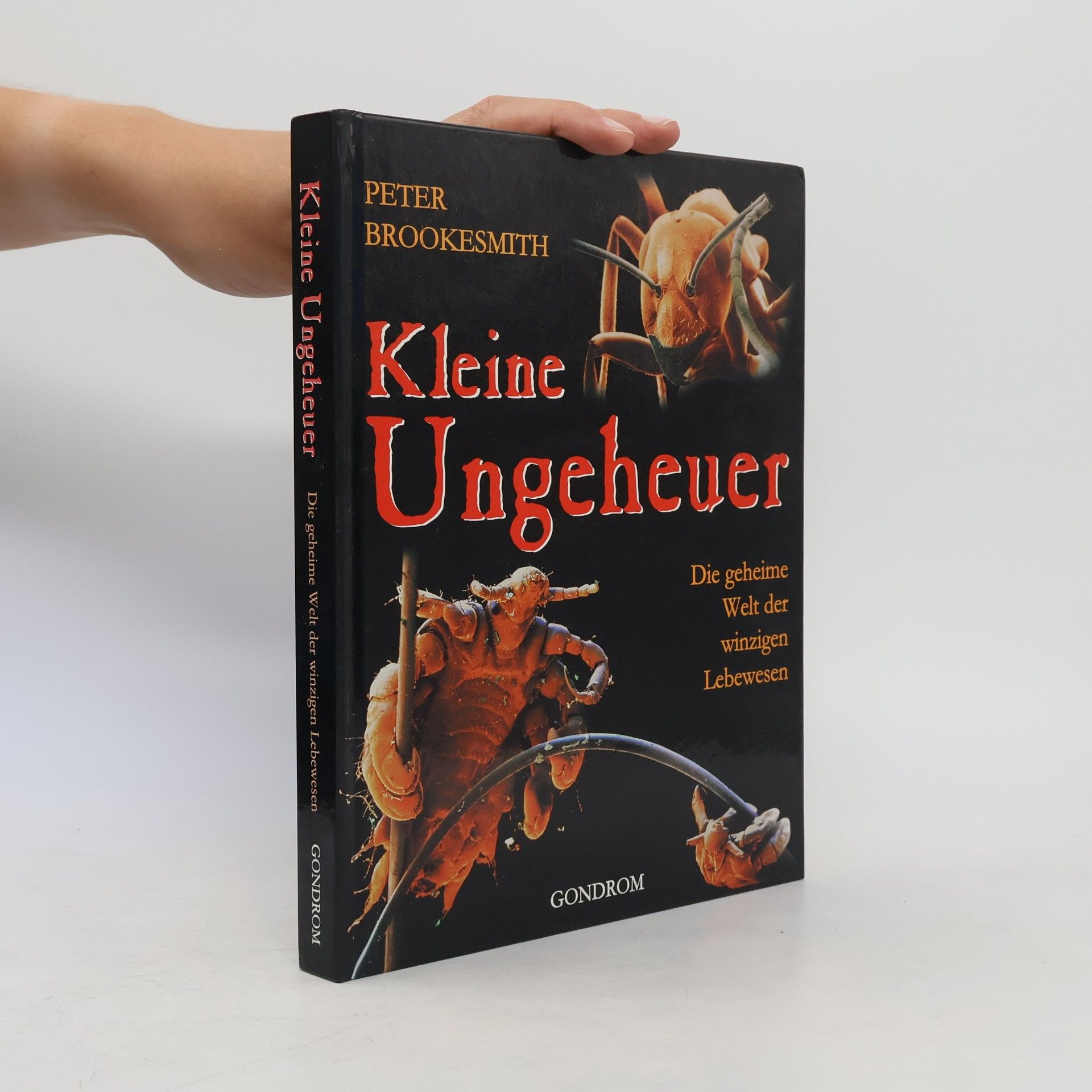 Kleine Ungeheuer