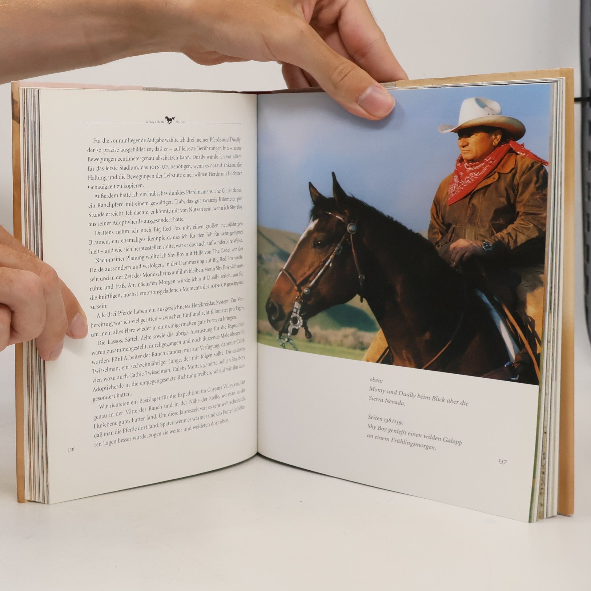 Monty Roberts Shy Boy
