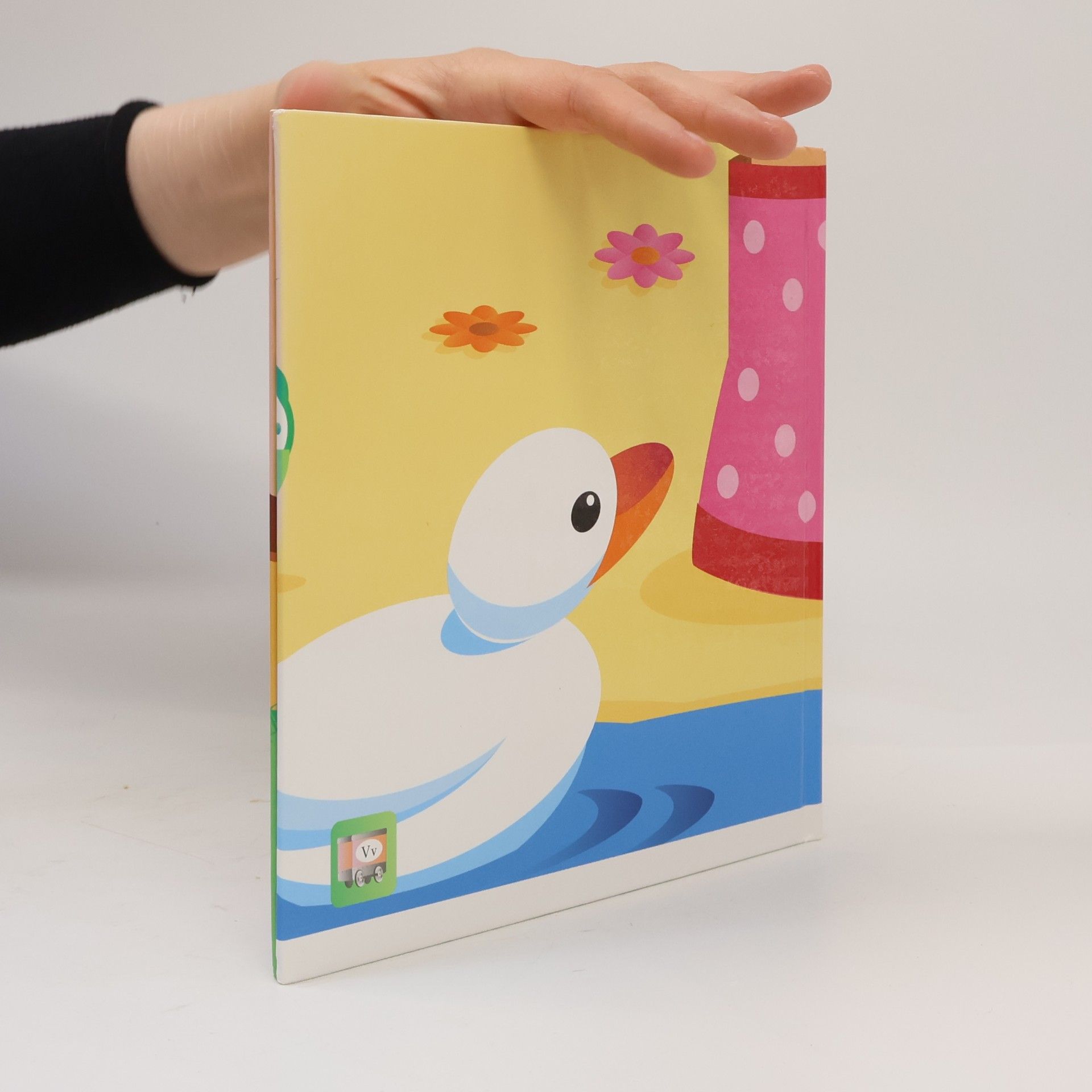 Pia Wall V-Buch