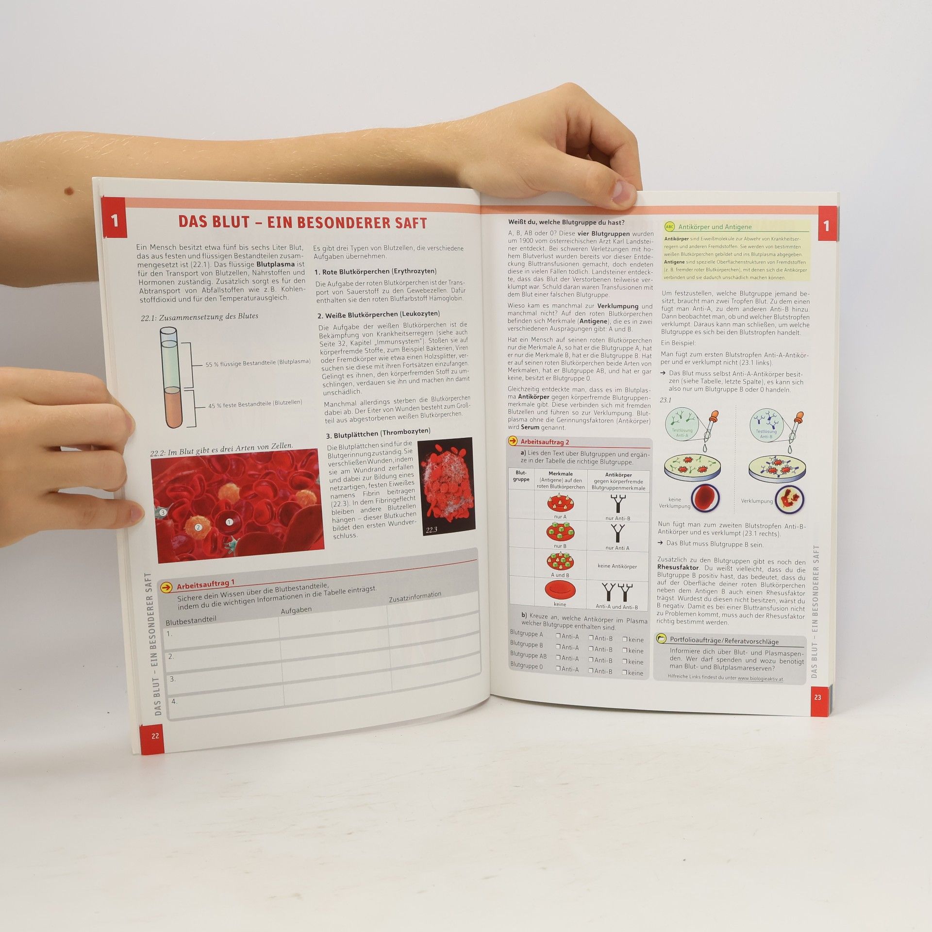 Rogl Biologie Aktiv 4