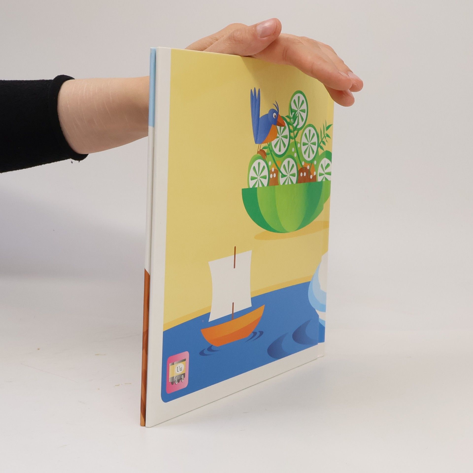 kolektiv U Buch