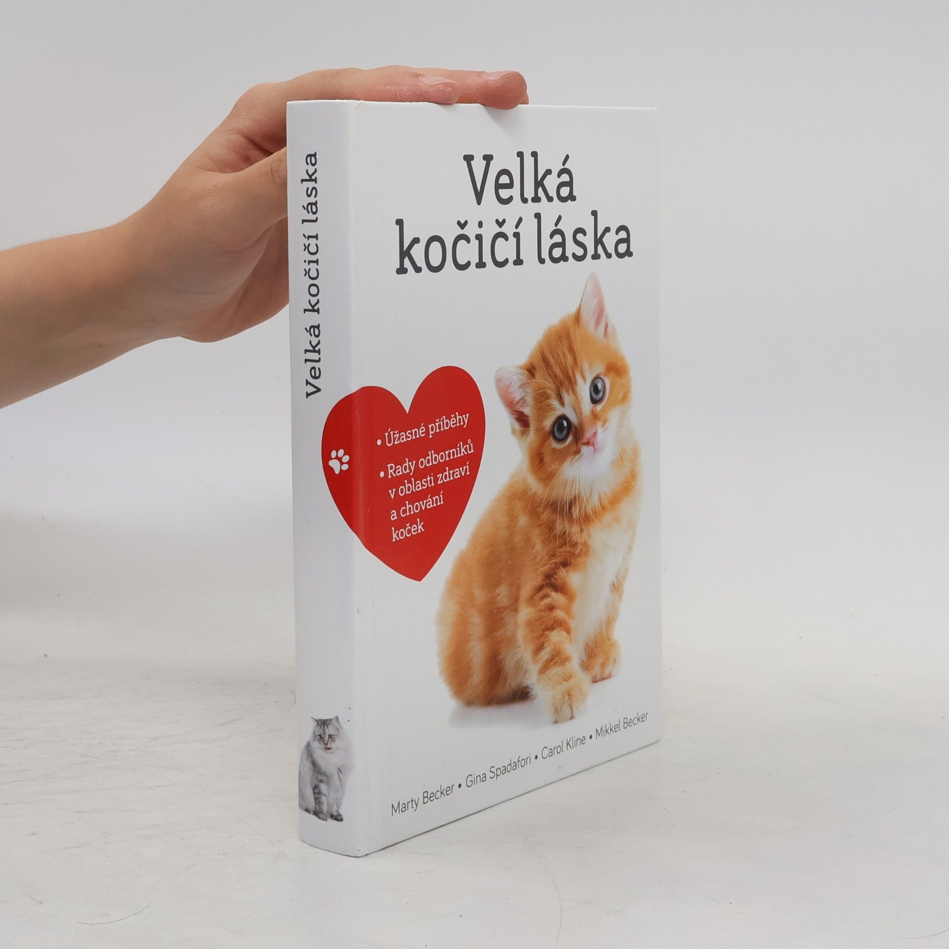 Marty Becker Velká kočičí láska