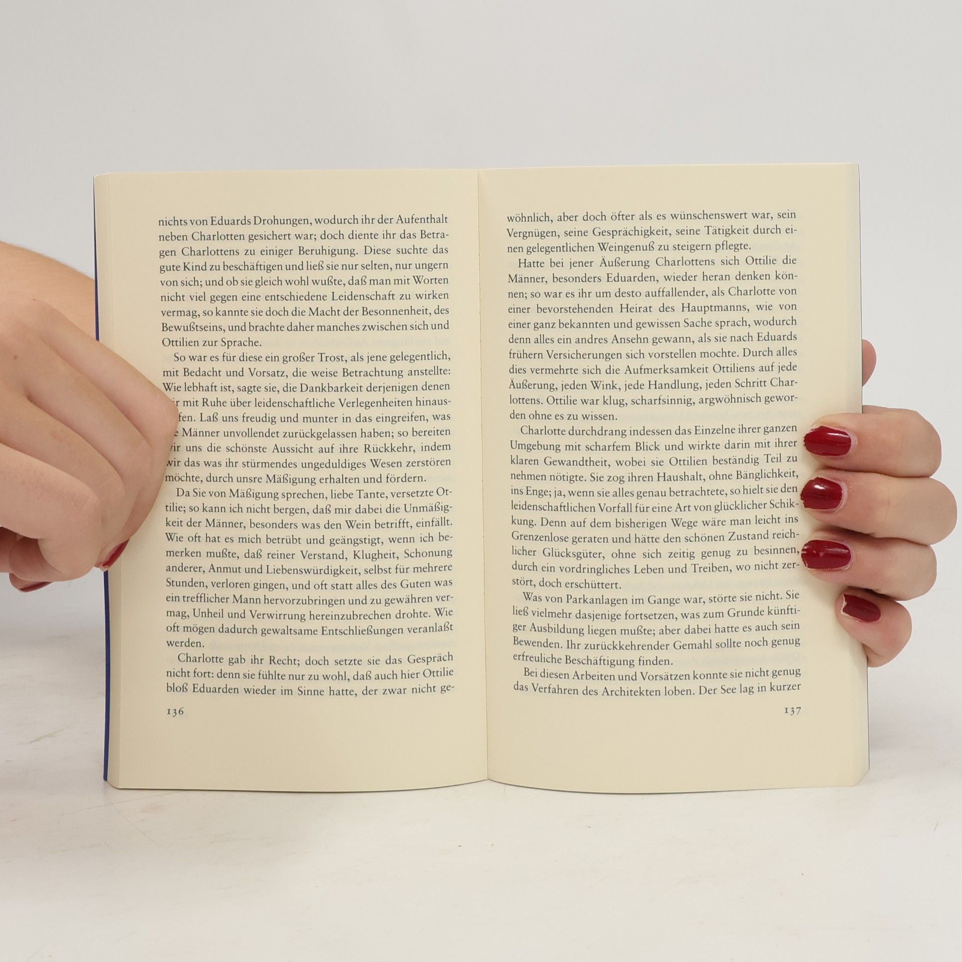 Johann Wolfgang von Goethe Insel Taschenbuch - 2950: Die Wahlverwandtschaften