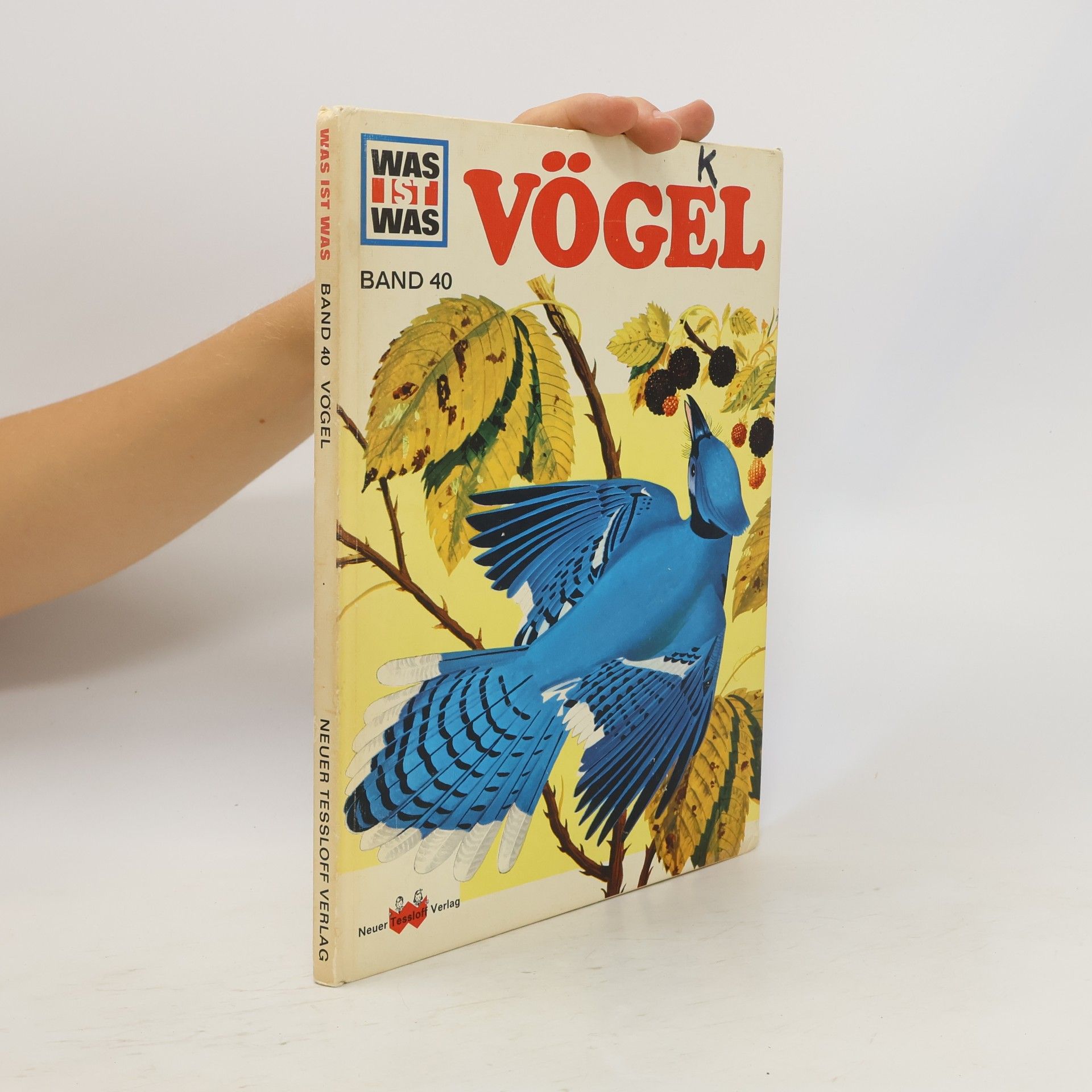 Autorenkollektiv Was ist Was 40. Vögel