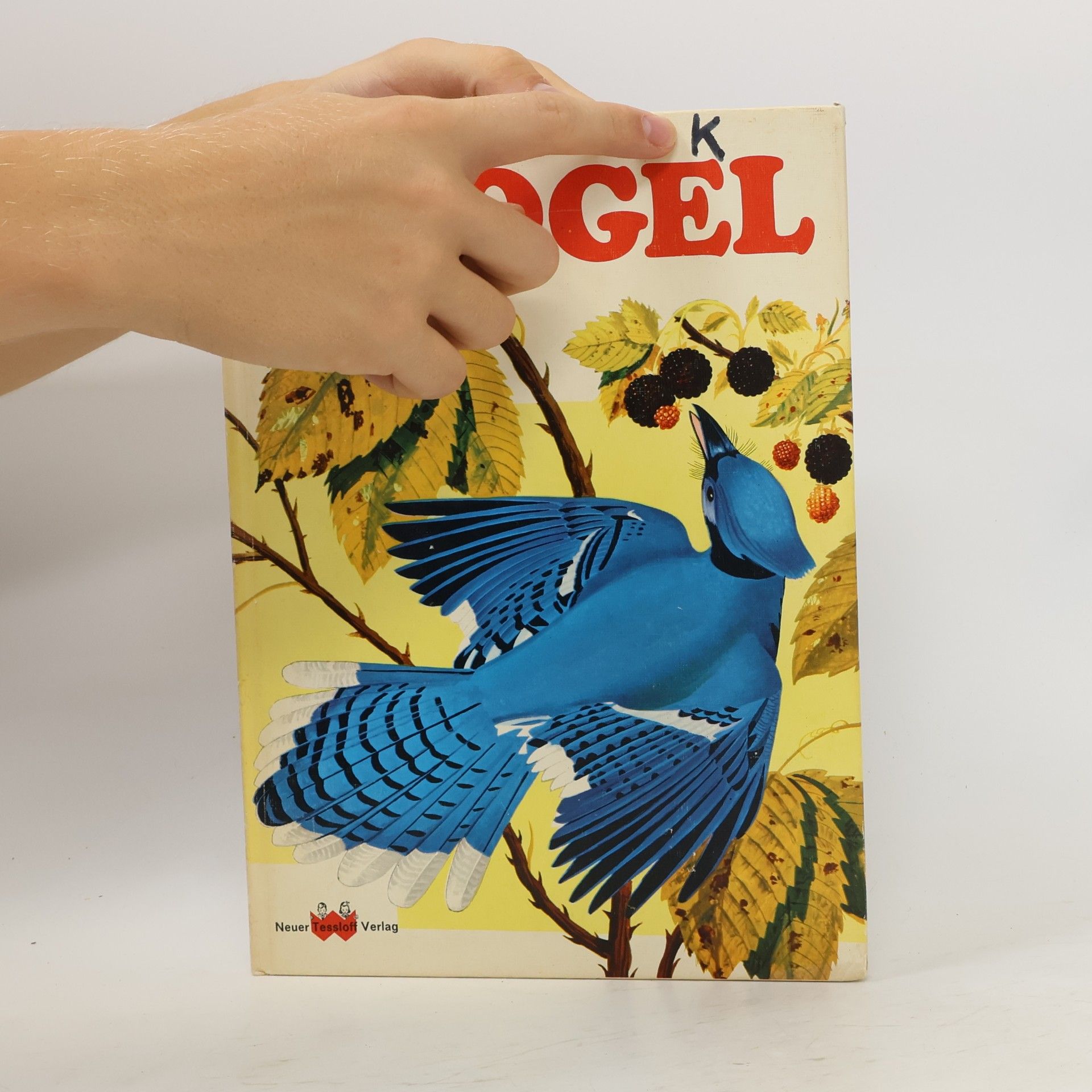 Autorenkollektiv Was ist Was 40. Vögel
