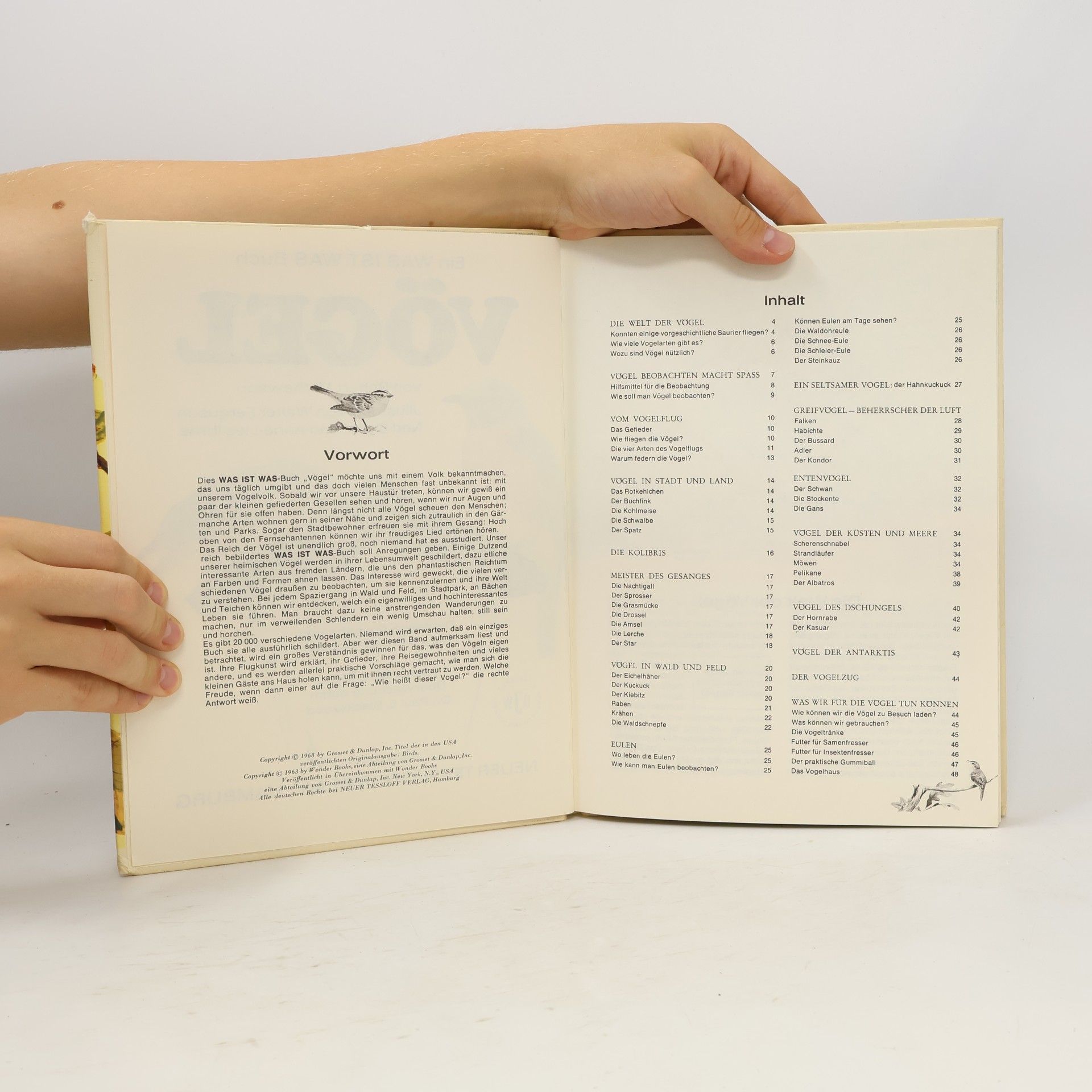 Autorenkollektiv Was ist Was 40. Vögel