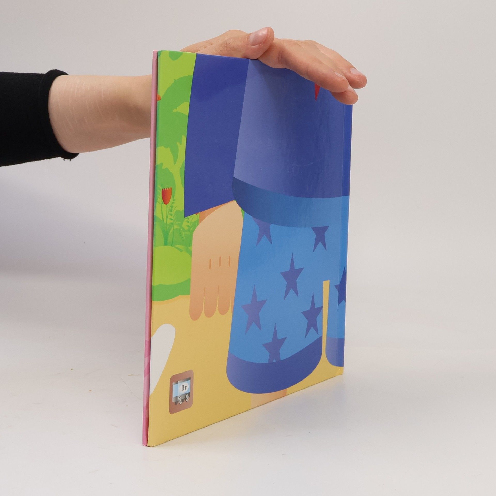 Kolektiv autorů R Buch