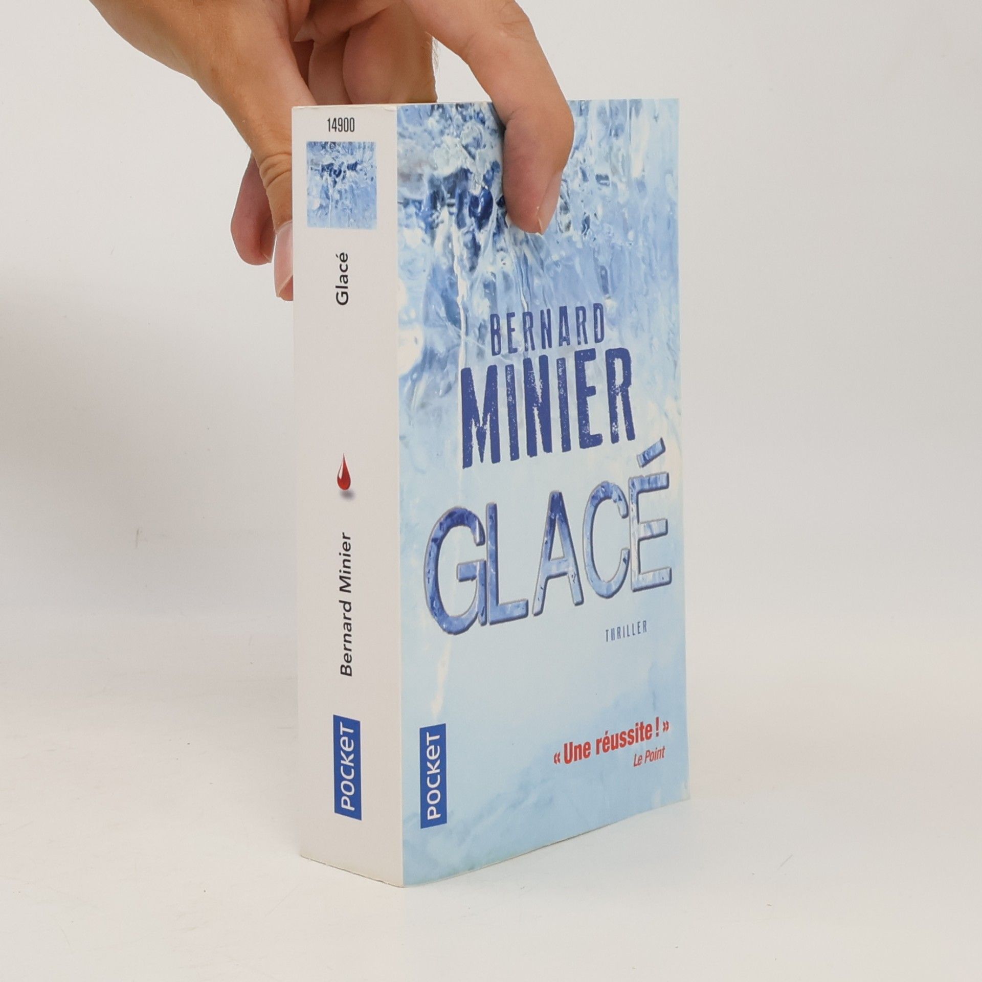 Bernard Minier Glacé