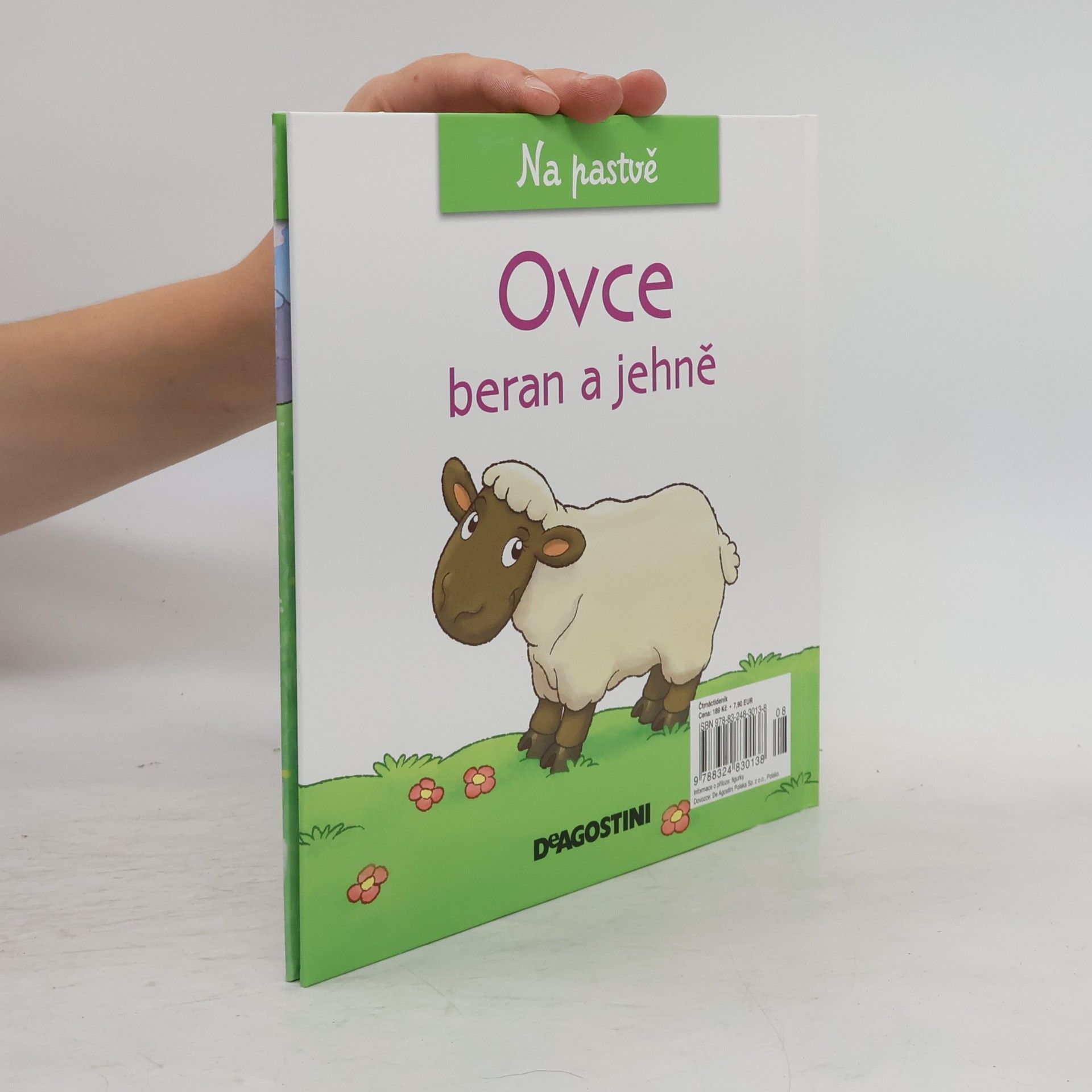 Autorenkollektiv Na pastvě 53. Ovce