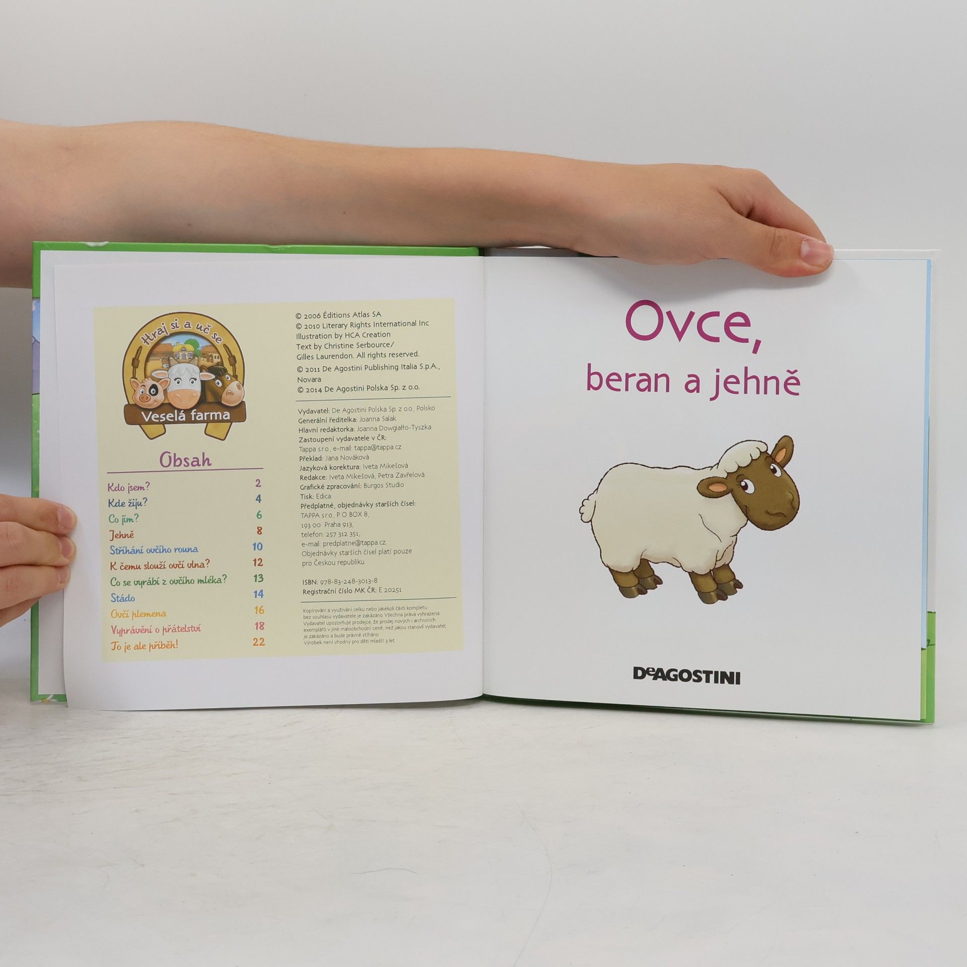 Autorenkollektiv Na pastvě 53. Ovce