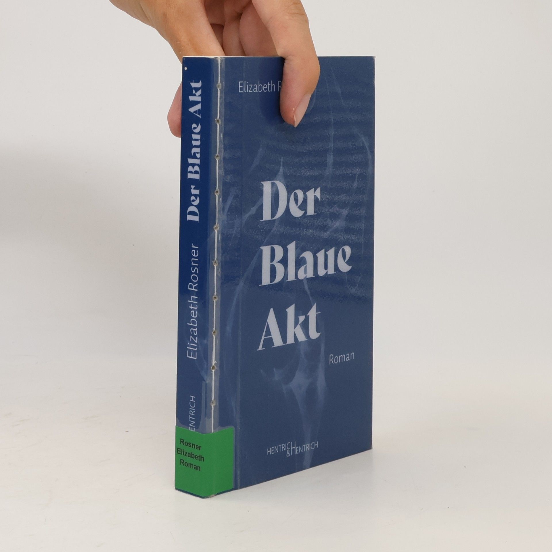 Elizabeth Rosner Der Blaue Akt