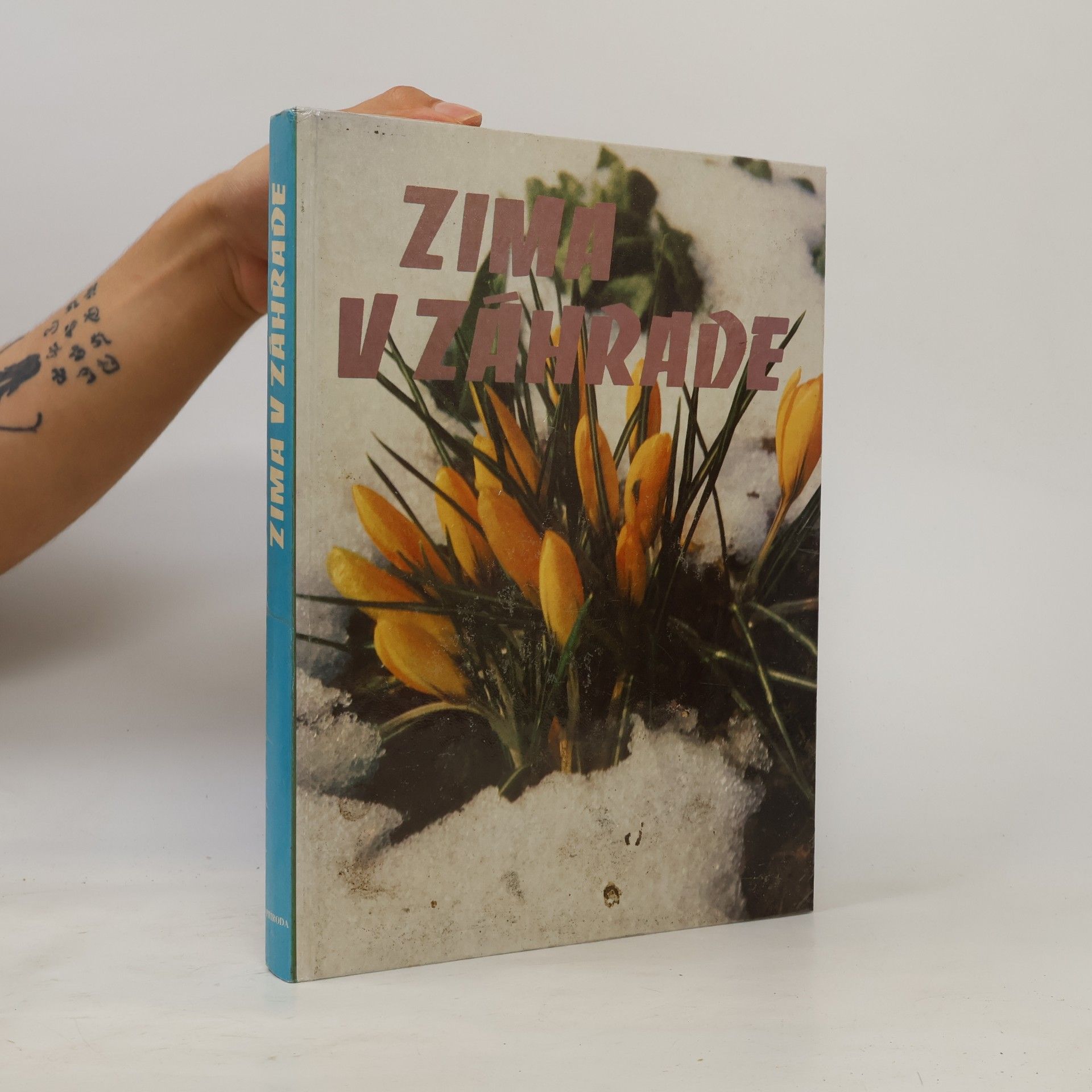 Katarína Šafáriková Zima v záhrade