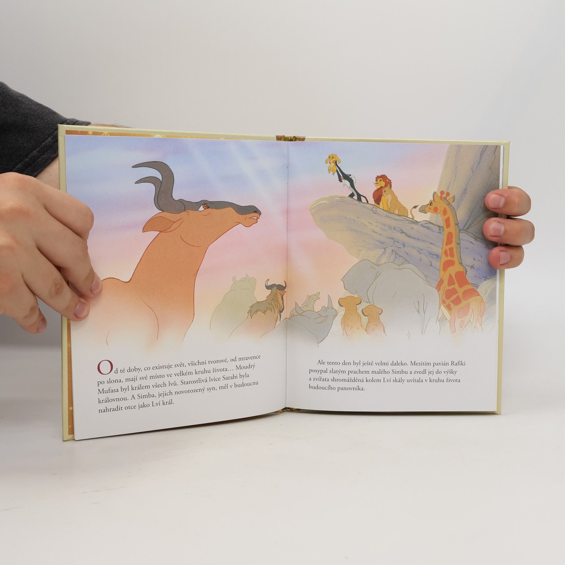 Hachette Walt Disney Cinema Zlatá sbírka pohádek 1. Lví král