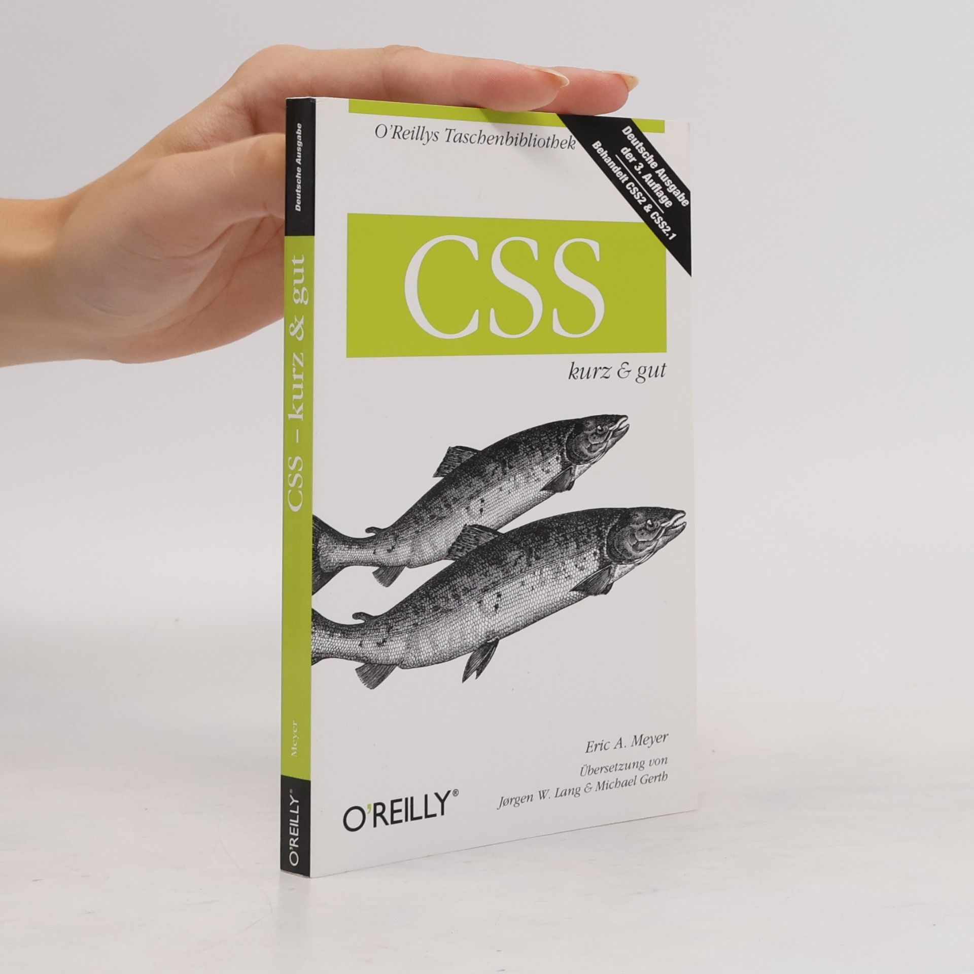 Eric Meyer CSS